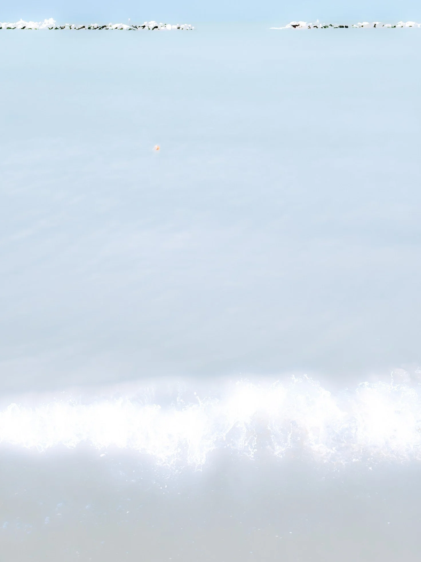 MARE 264