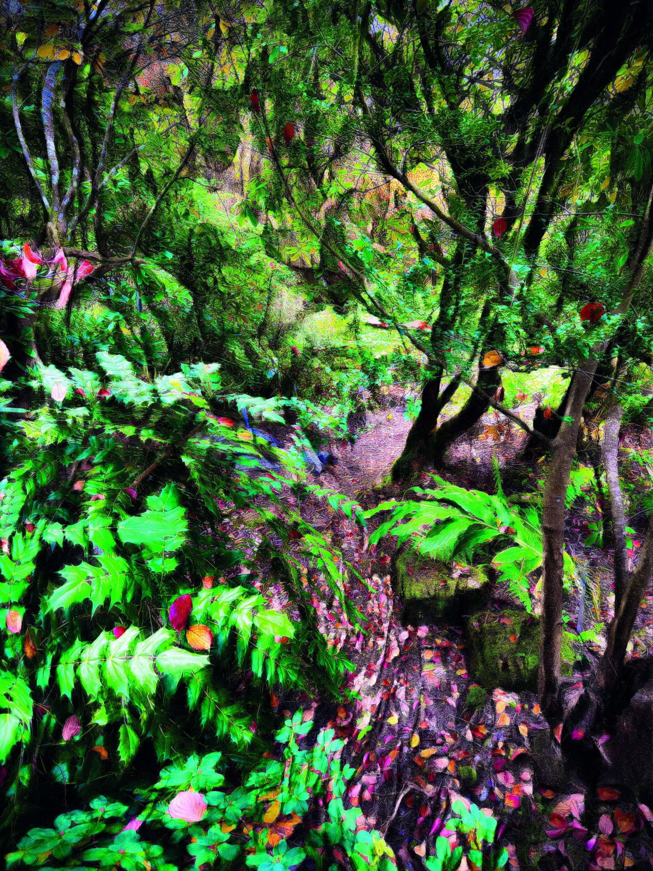 Gardencolors11 Kopie 2.jpg