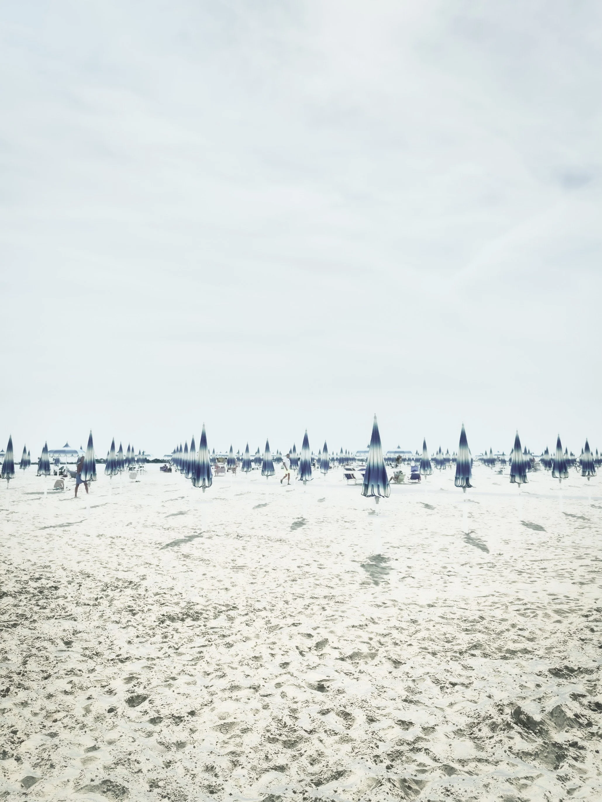 MARE 263