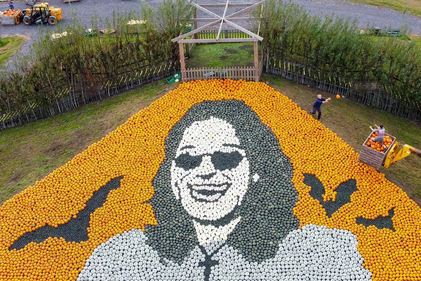 Farm Director, Tom Nelson and a volunteer place the finishing touches on their giant pumpkin and squash mosaic at Sunnyfields farm in Totton, Hants.
This year’s piece is a tribute to the late rock legend, Ozzy Osbourne, who passed earlier thi