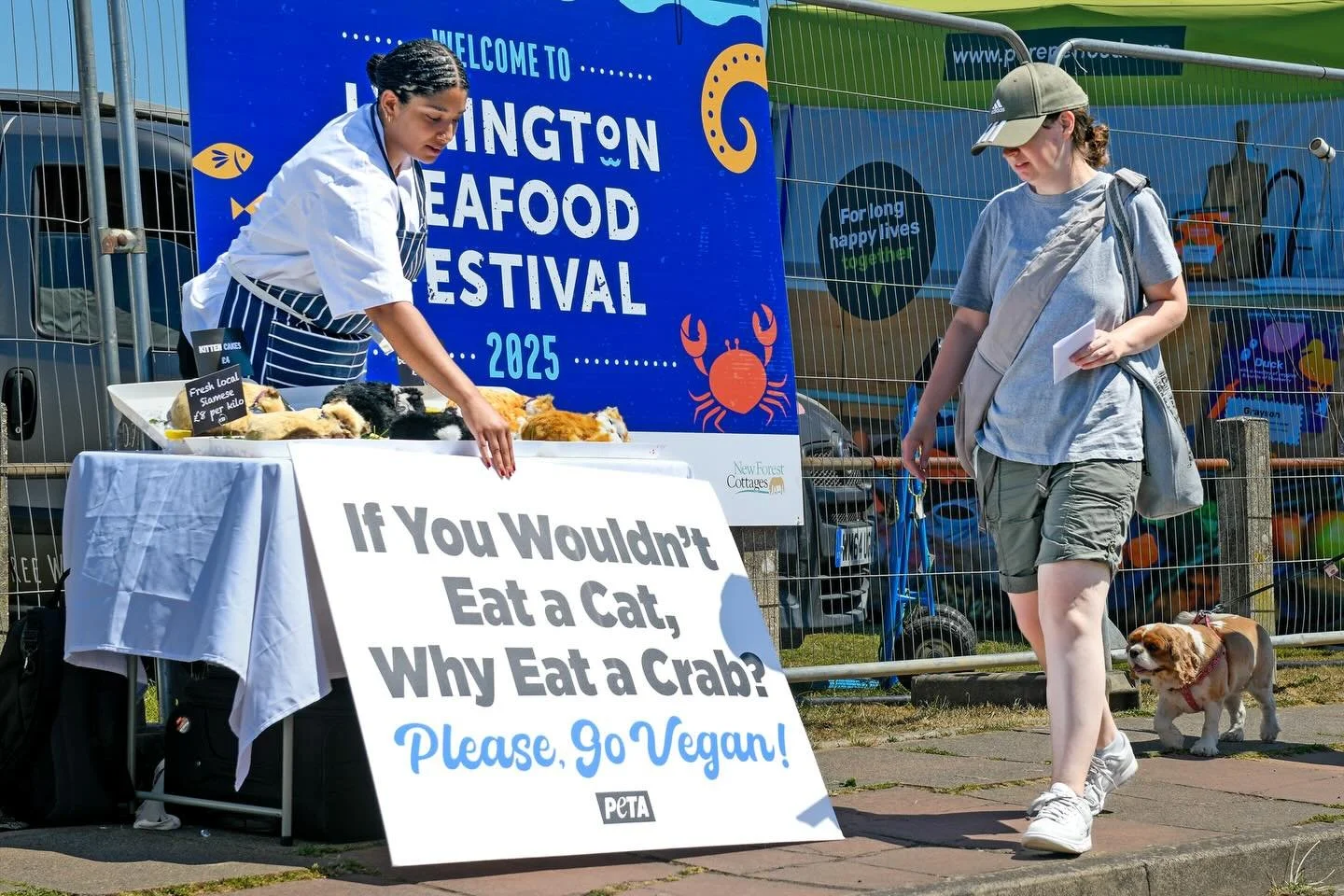 Animal rights charity PETA encouraged people at a seafood festival to go vegan - with an unusual &lsquo;kittenmonger&rsquo; stunt. PETA set up a stall offering &lsquo;locally caught tabbies&rsquo;, &lsquo;kitten cakes&rsquo;, and &lsquo;fresh local S