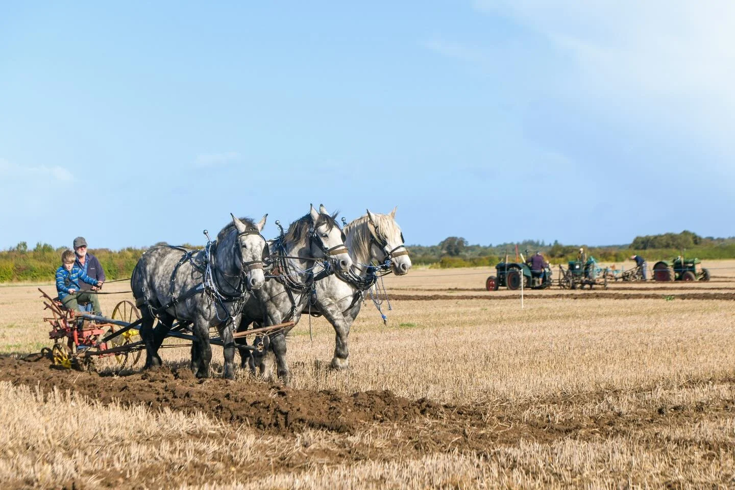 A traditional New Forest ploughing match sees farmers and agricultural workers competing head-to-head, comparing their ploughing prowess. 

The competition sees widespread interest from all over the UK, with people having previously travelled from th