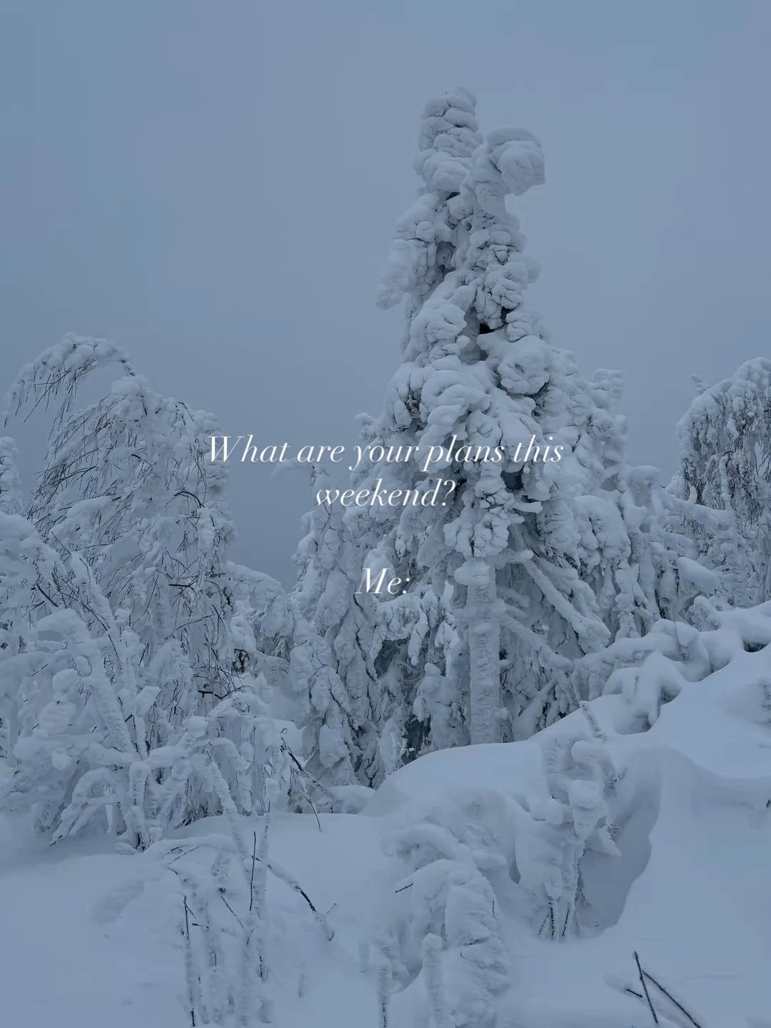 UPDATED HOURS: CLOSED SUNDAY

Available appointments tomorrow. 

Stay safe! ❄️