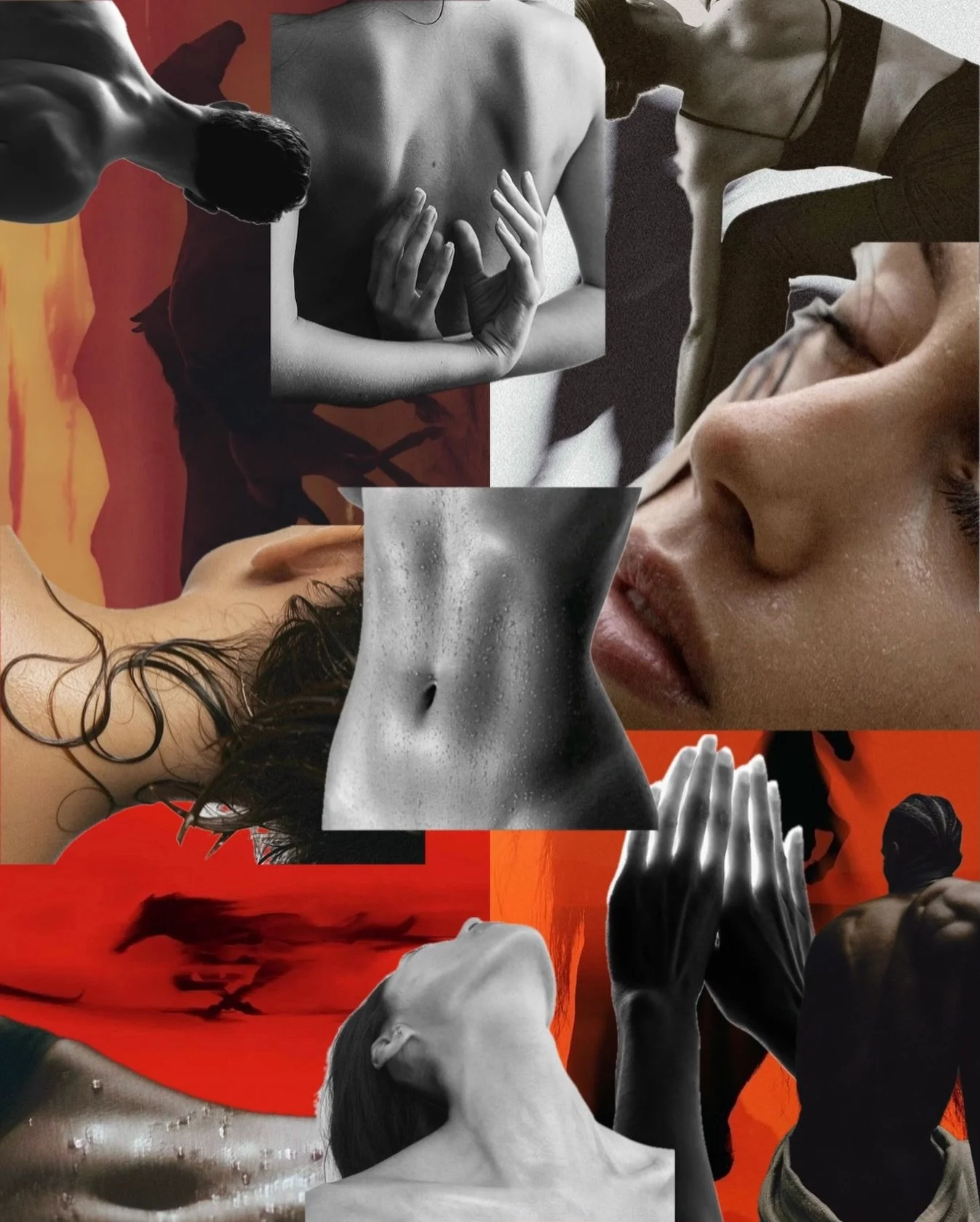 Welcome to the Year of the Horse 

This is the energy of momentum. Power. Bold self-belief.

A year to move with intention and burn away what no longer serves you.

Step into the heat.

Let the sauna be your reset where sweat becomes release, stillne