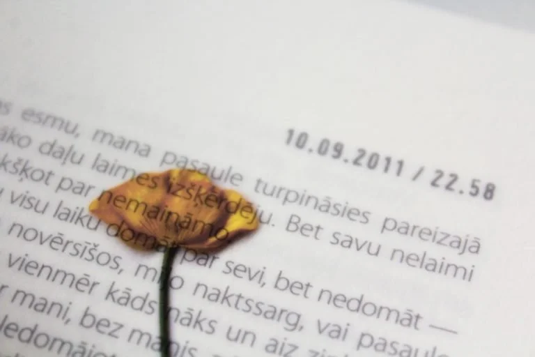 Learning a new language broadens students’ worldview.