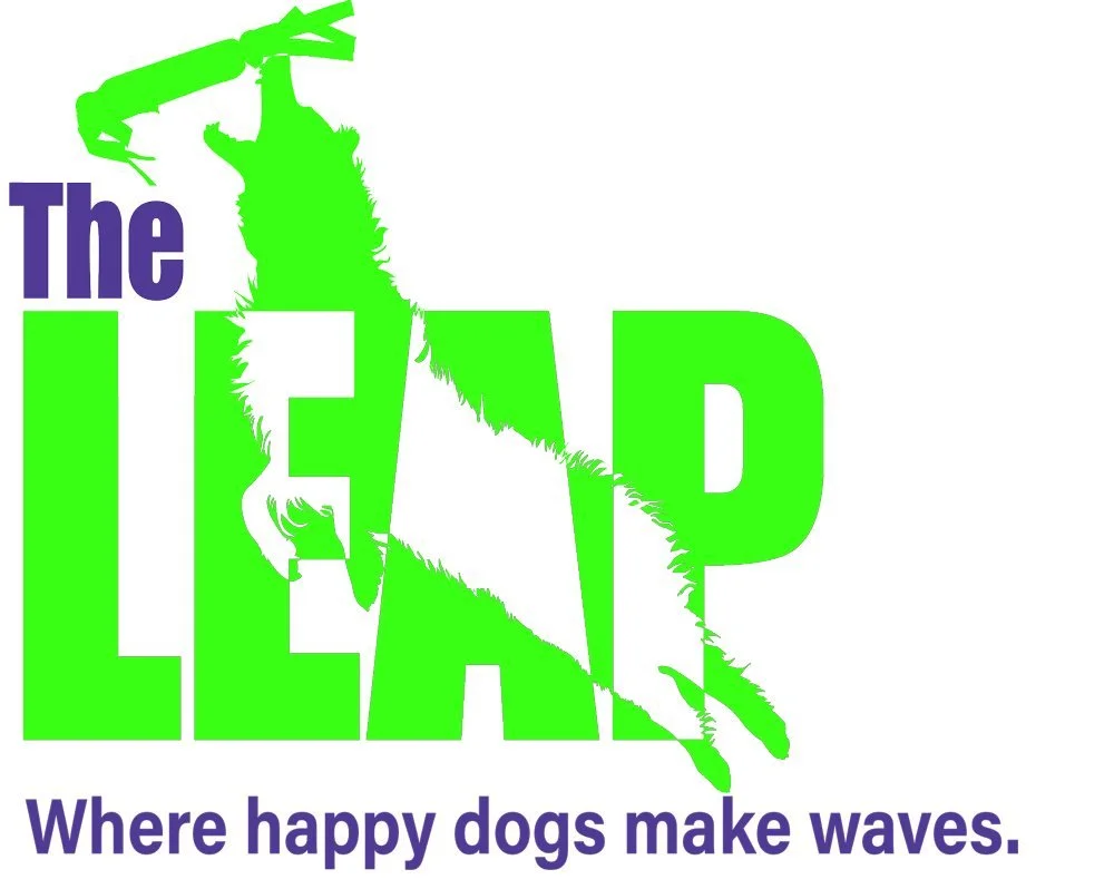 IDS Leap Into Spring 2026