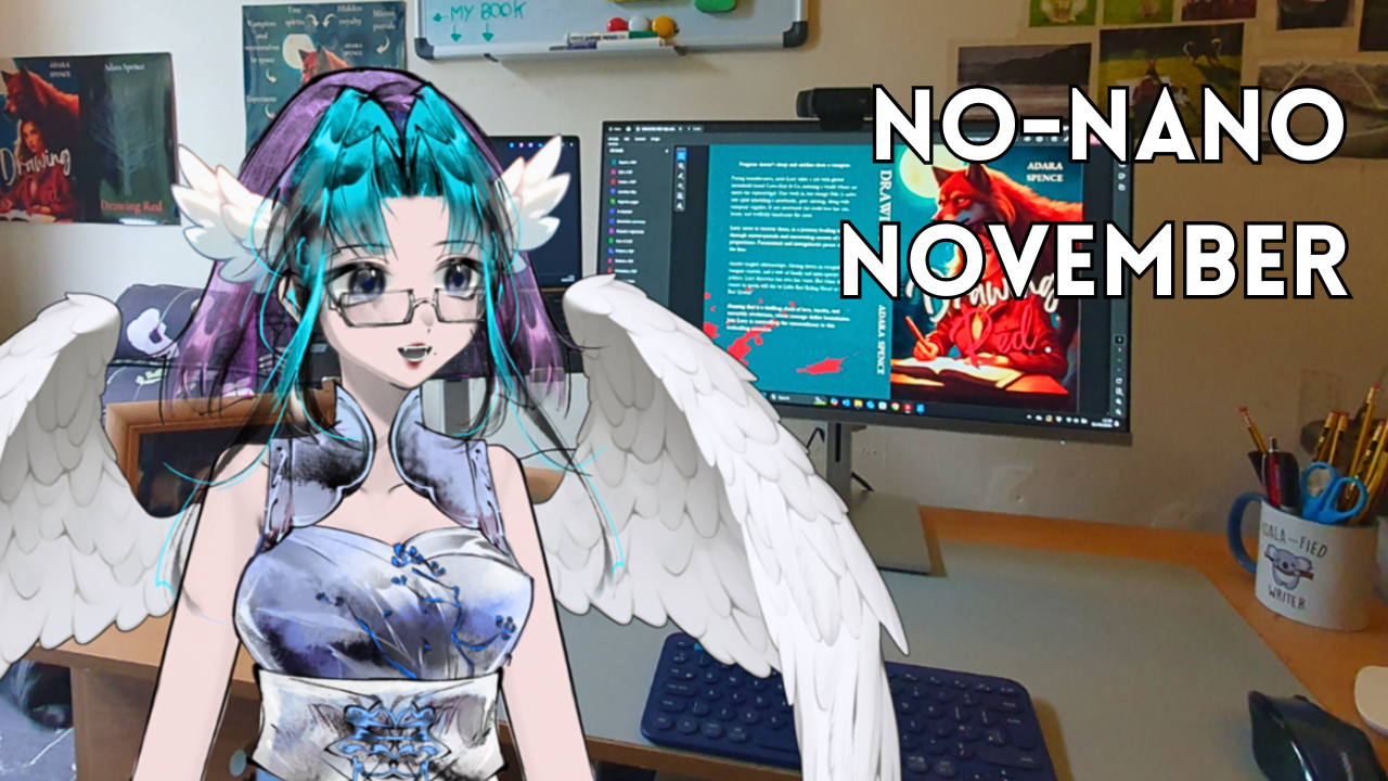 Adara VS Nov 25 ~ No NaNoWriMo November