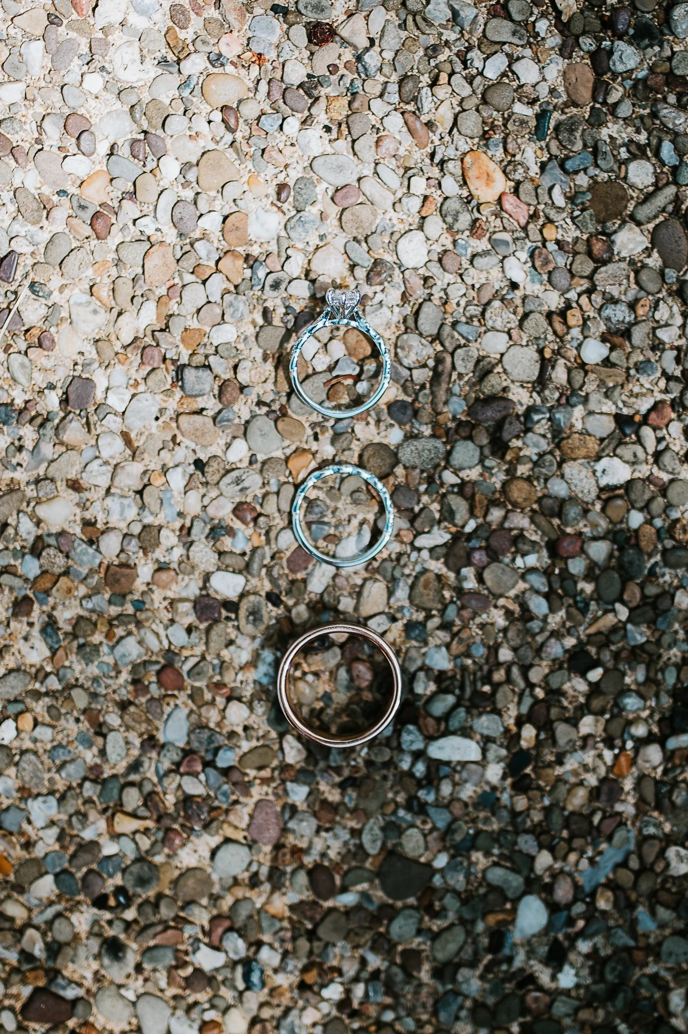 DSC_8281.jpg