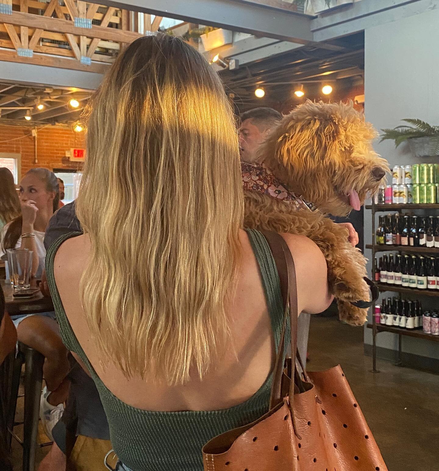 two gals with great hair // cut by me on @soyna_riggs feat. sis the pup 🤍 // I&rsquo;ve got availability for haircuts this week and next @charles_proper