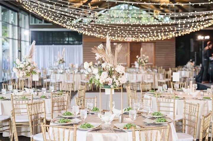 The last role I had before becoming a wedding VA was Director of Catering @lakewayresort in Austin. I managed all the catering and venue details for 300 person weddings, multi-day corporate conferences, and property-wide buyout events. 
⠀⠀⠀⠀⠀⠀⠀⠀⠀
I l