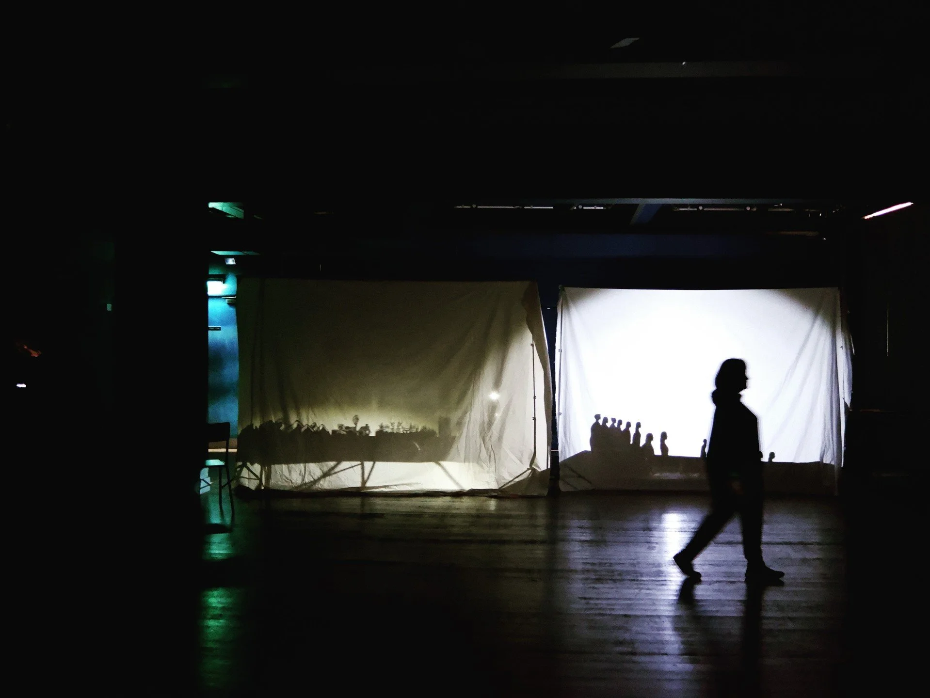 Maaaajor throwback to Illuminating Orpheus🎉
What a fun experience of shadow puppetry and French songs with the most amazing people! So excited to be working with @lightsontheatreco again for the next show in less than a week, as part of @officialuom