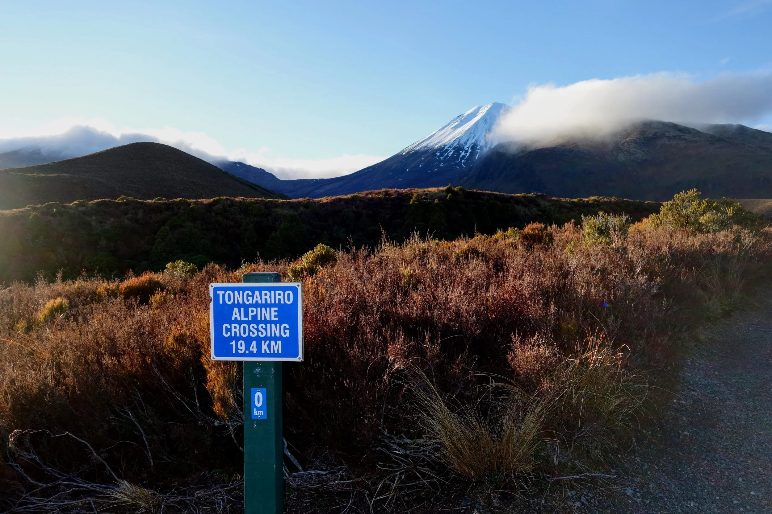 DSC04944-EDIT.jpg