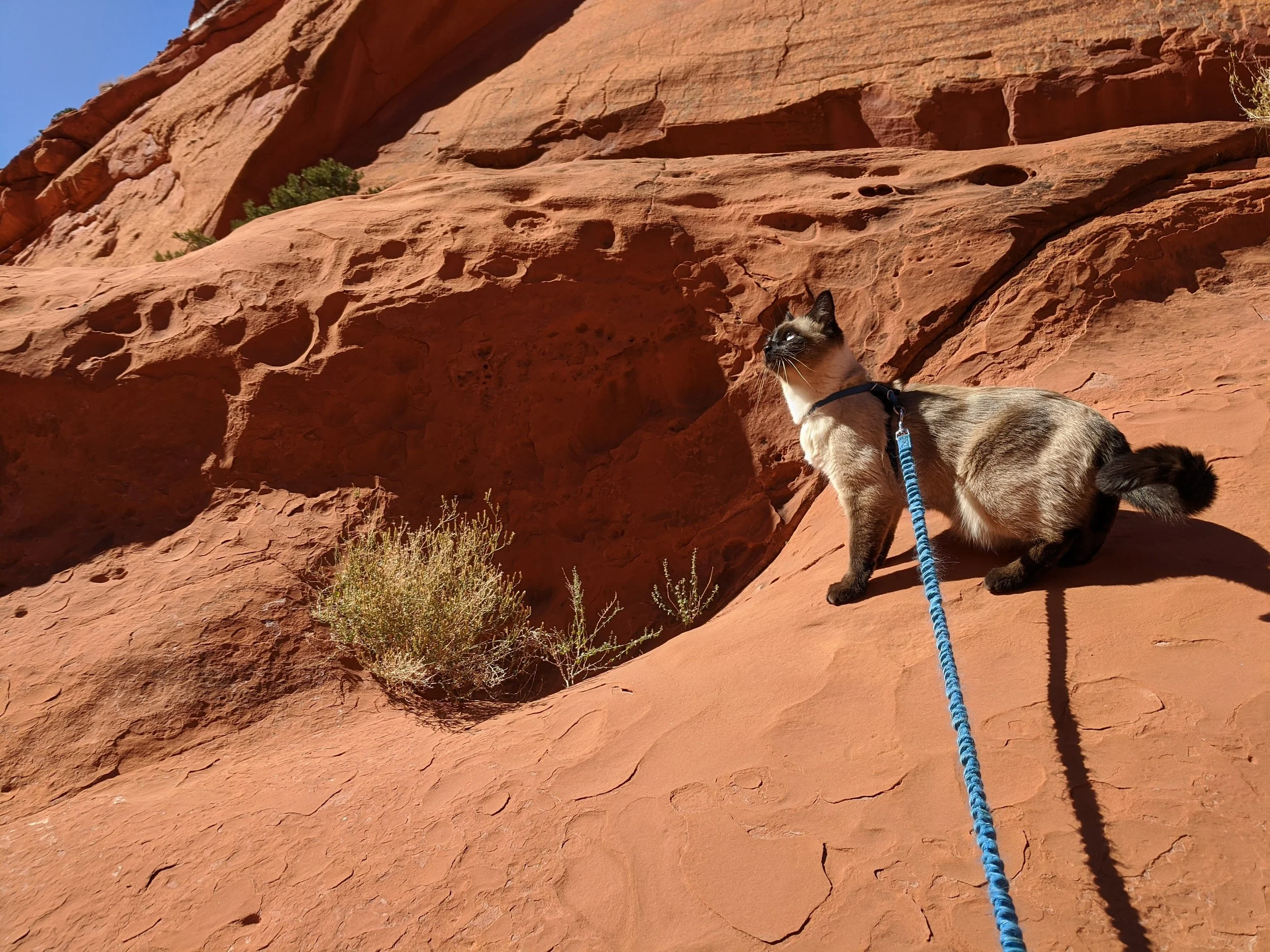 original_f56836af-ad7e-4357-9e79-4ec5ba2c7a74_IMG_20211015_122923 (1).jpg