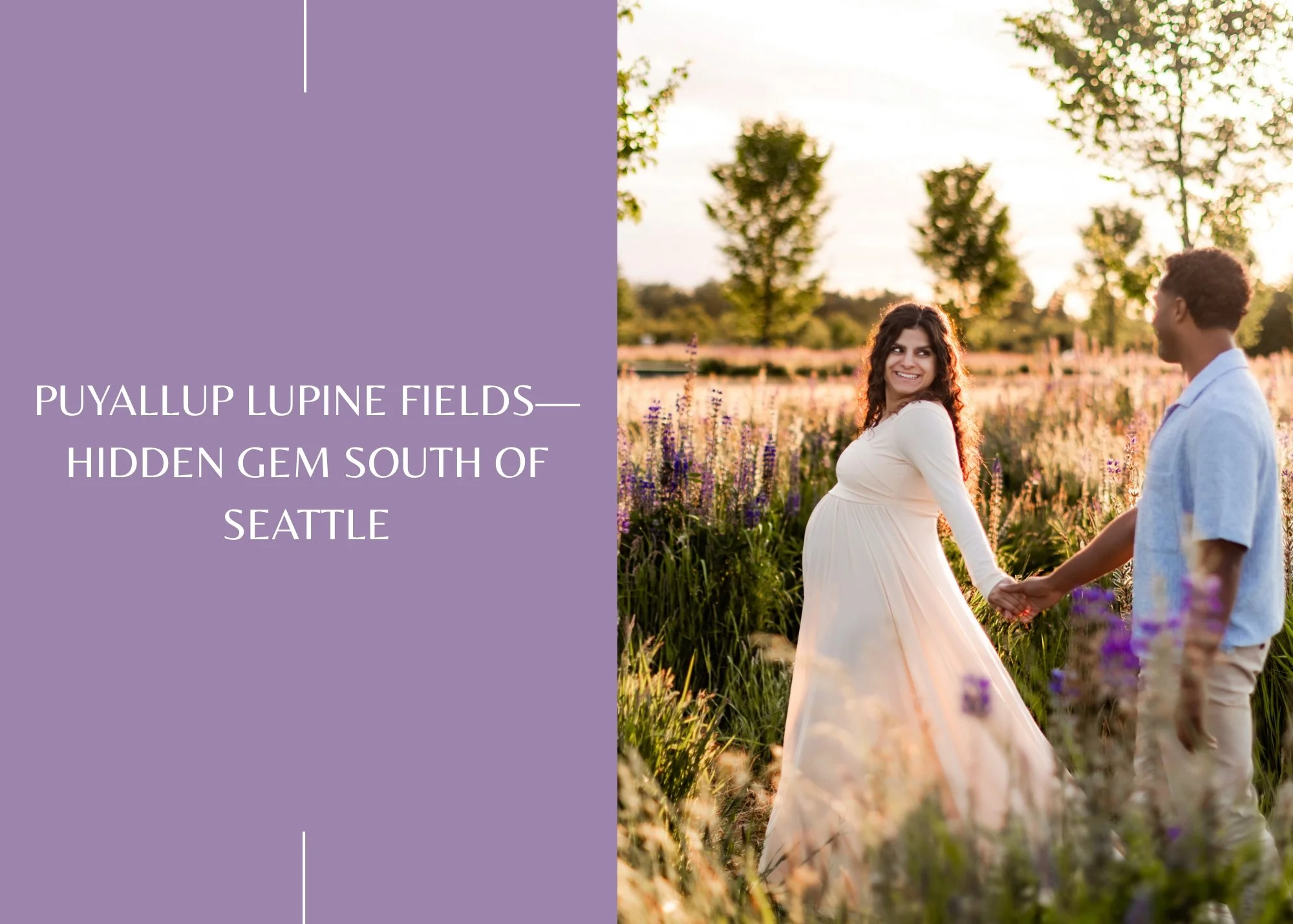  Puyallup Lupine Fields— Spring Mini Sessions
