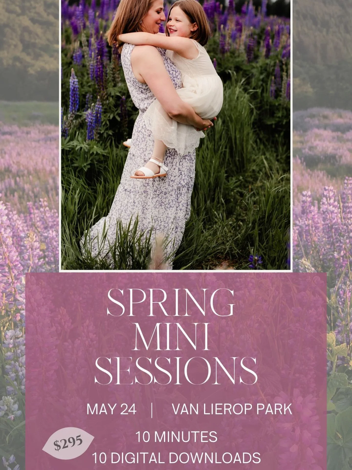 Lupine field mini sessions May 24th! This field is beautiful in the spring, but the blooms only last a few weeks a year! 

Come join me for a shoot before the lupine disappear! 🫥🪻$295 for a 10 minute session and 10 frame worthy downloads! 

DM me f