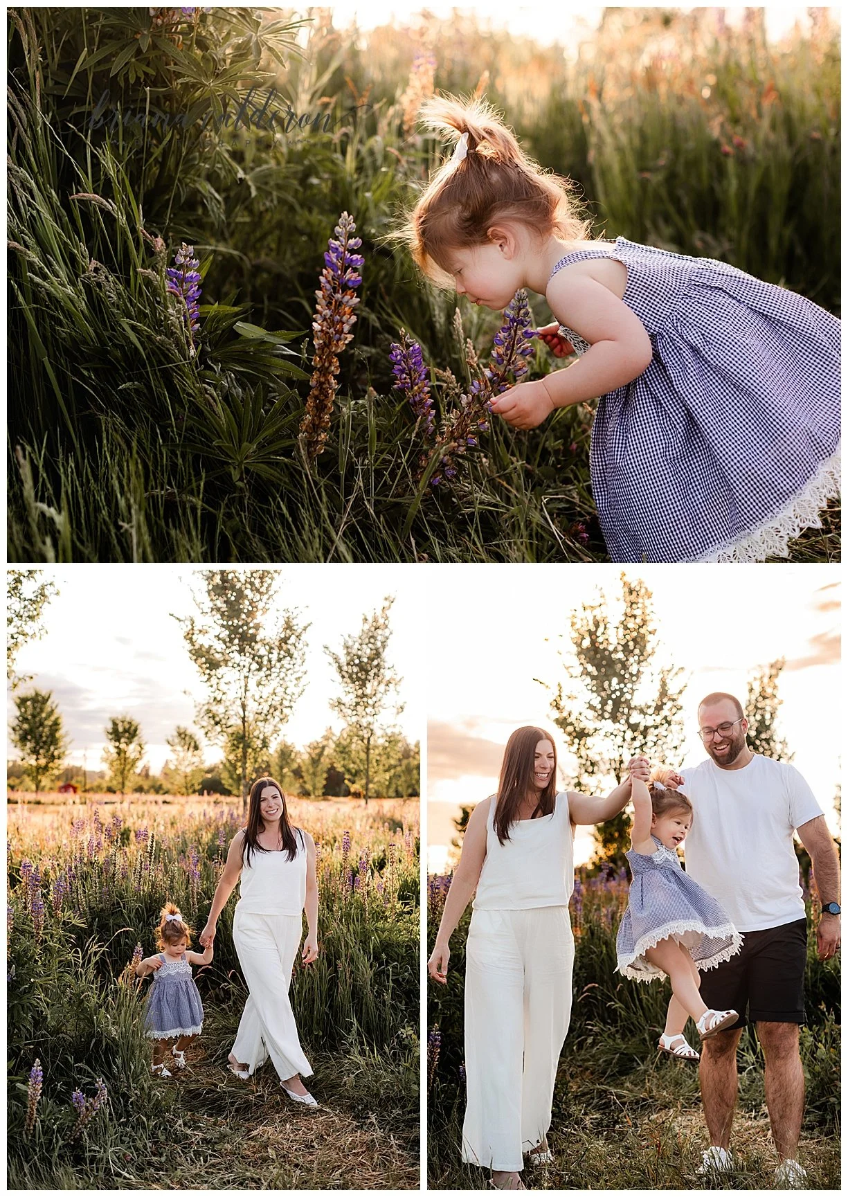 Little girl smells lupine flower with sunlight in hair