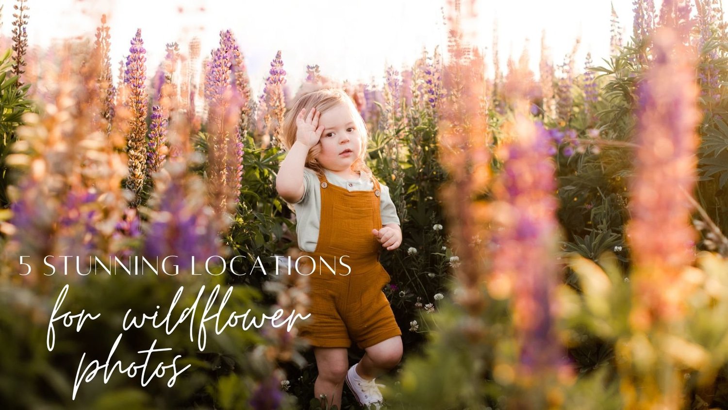 5 Stunning Locations for Wildflower Photo Shoots in the Pacific