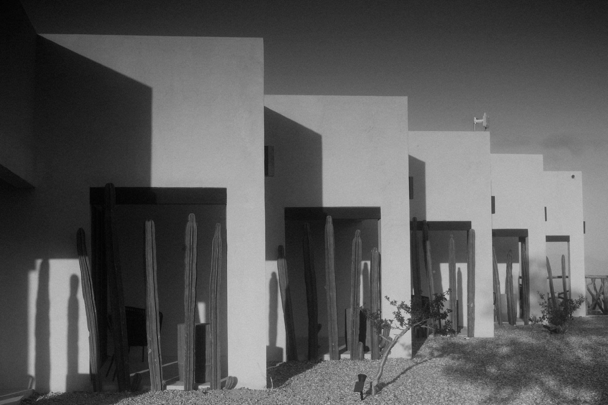 Modern white desert home with cactus plants and shadows cast by the structures.