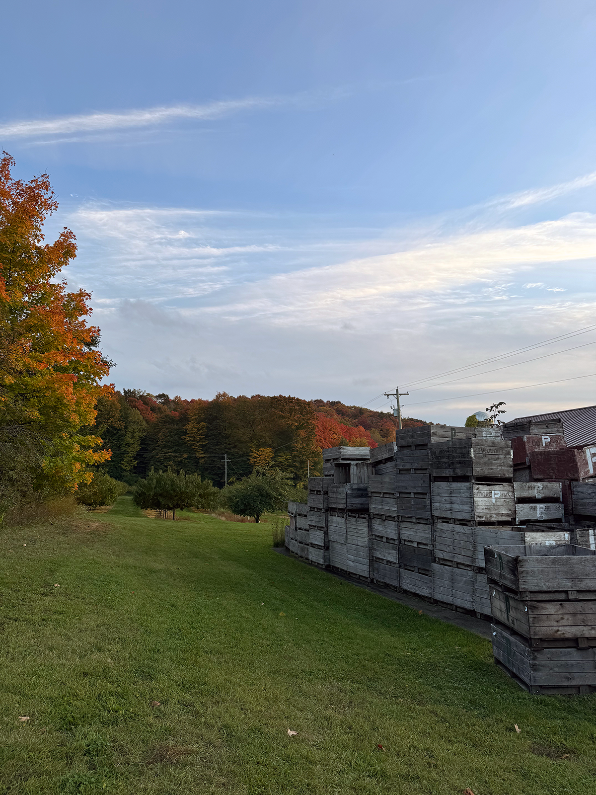 Benjamin-Twiggs-Family-Farm-2.png