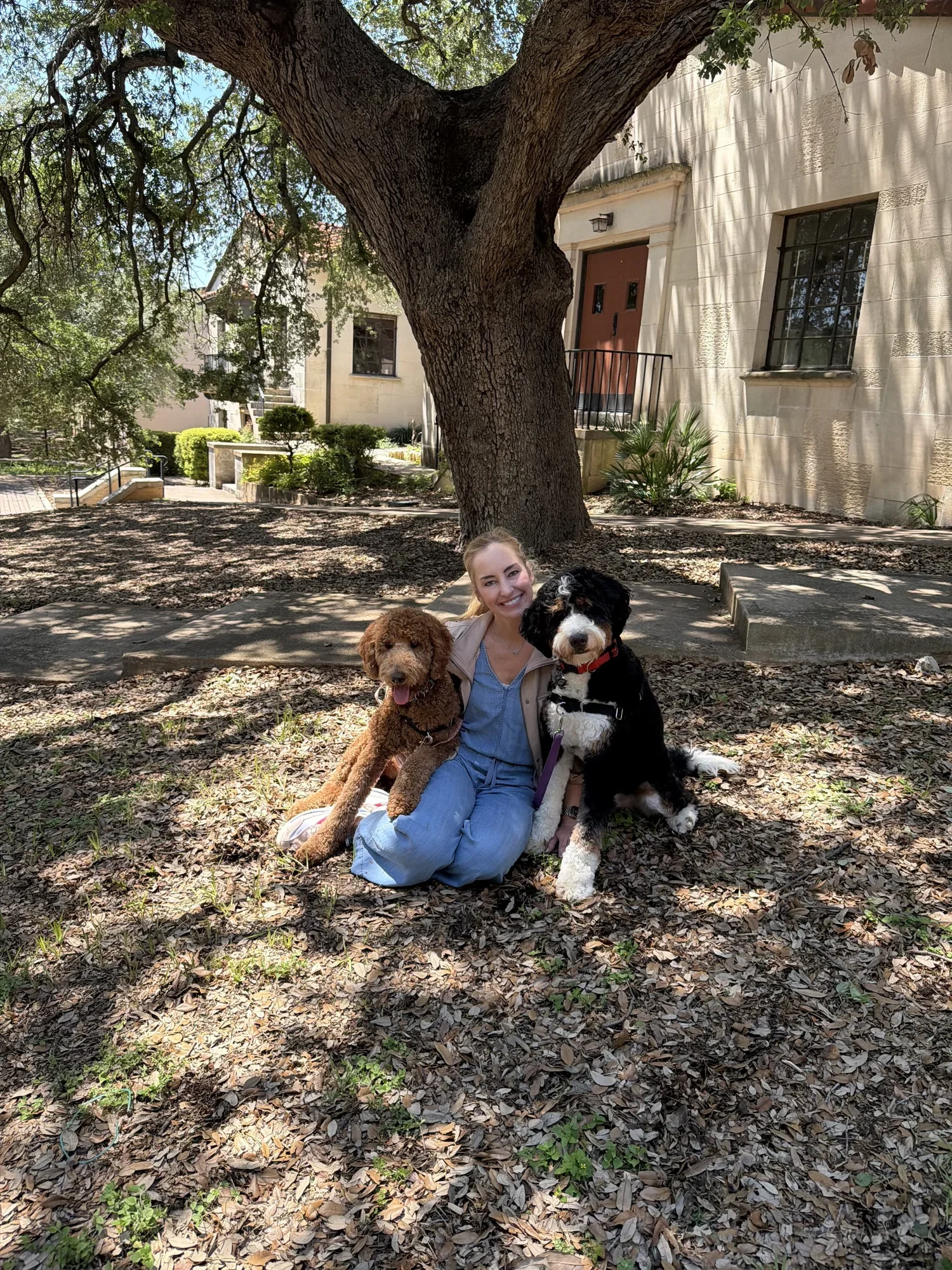 Nicole Lozo, Licensed Professional Counselor, sitting outdoors with therapy dogs Scout and Dolly, memers of Texas Taproot Counseling in Austin, Texas.