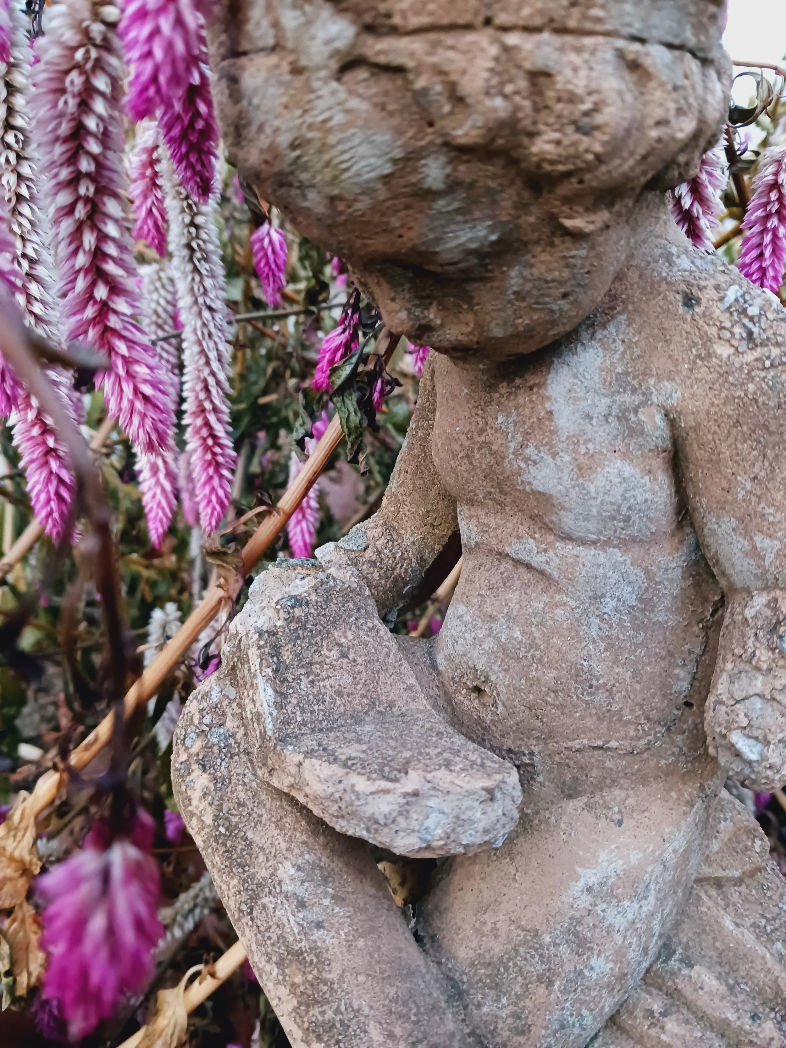 CHERUB  20221126.jpg