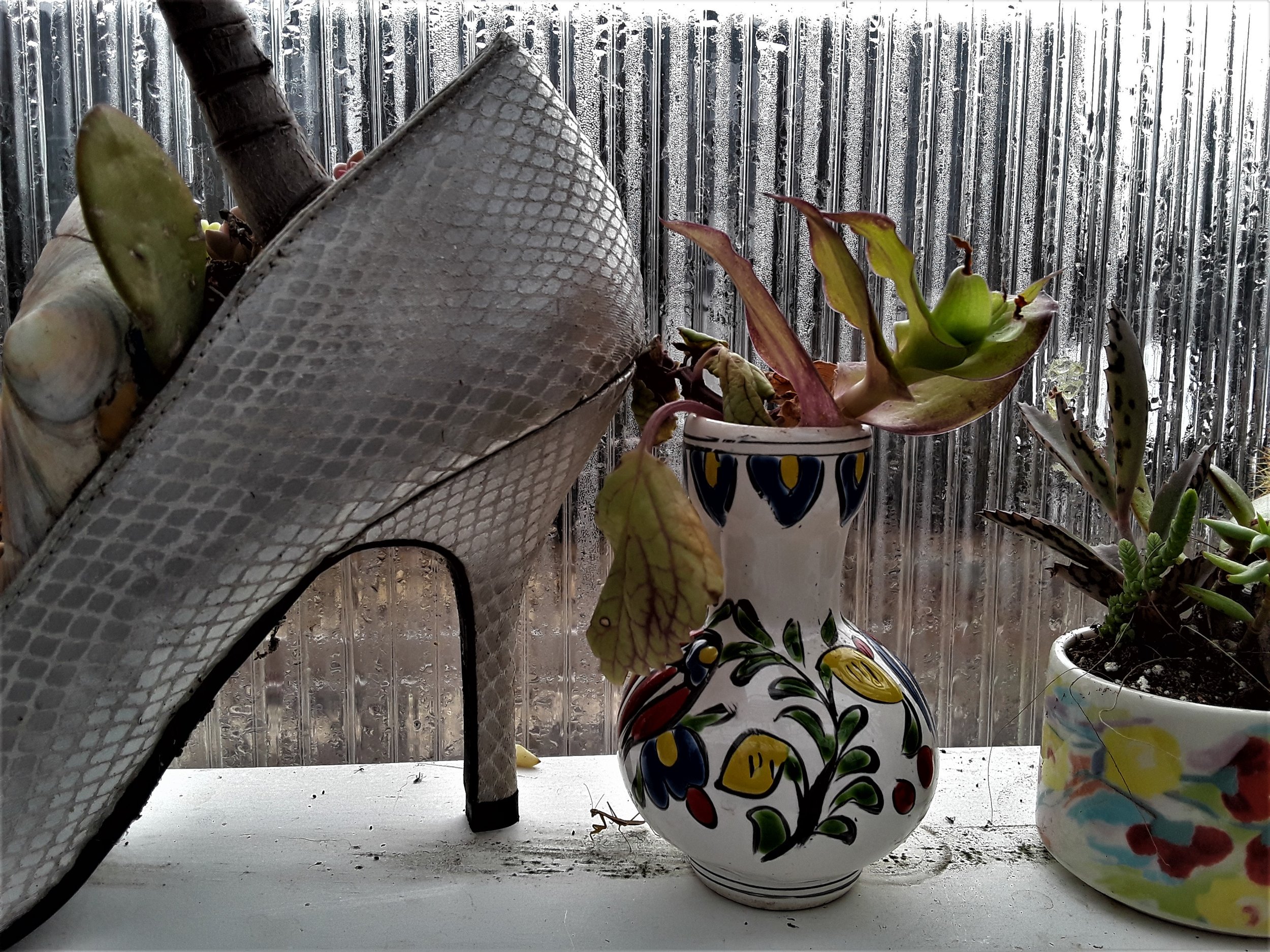 MANTIS AND STILETTO 20190211.jpg