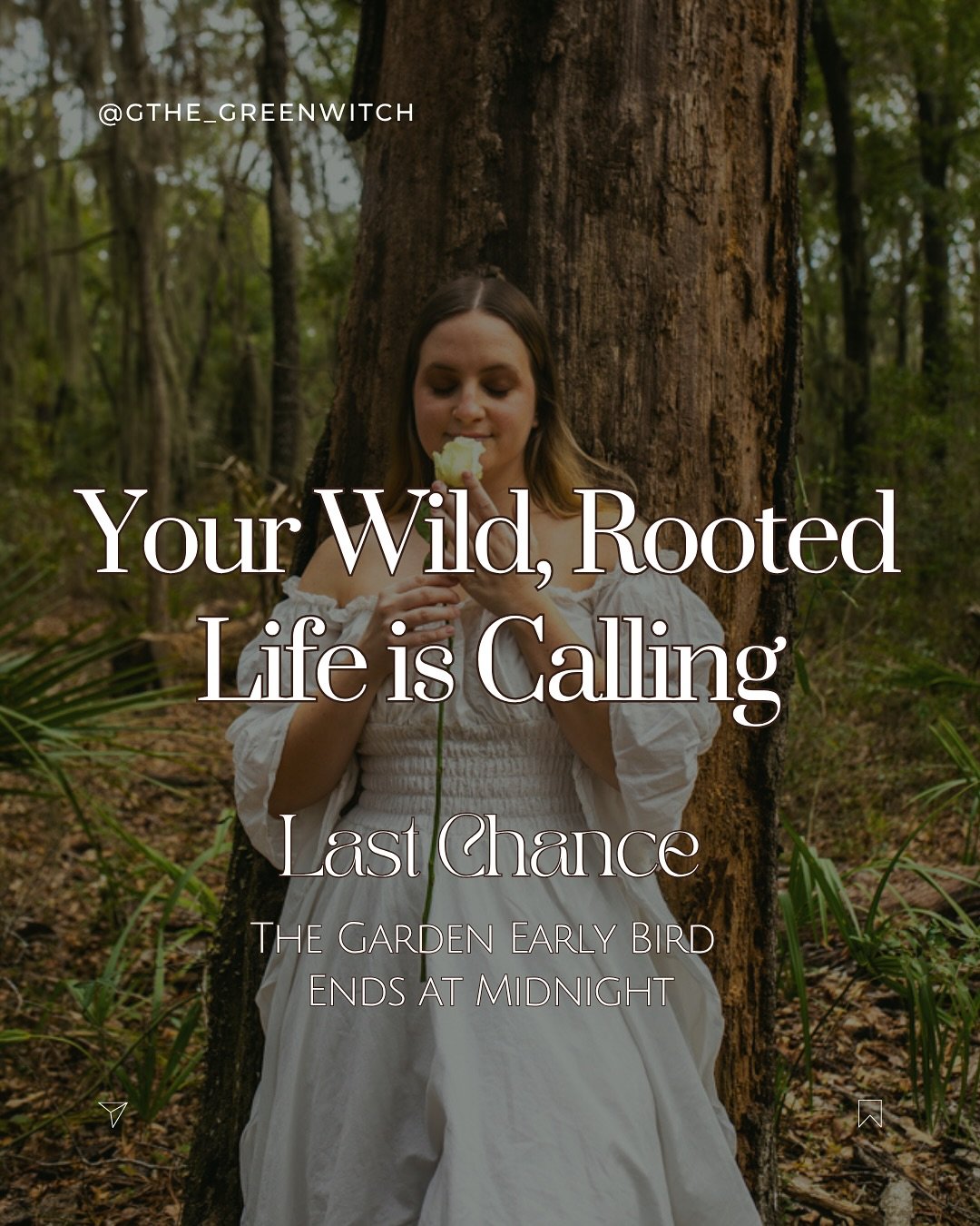 Something is waking up in you. 🐦&zwj;🔥

The part that&rsquo;s tired of shrinking.
The part that&rsquo;s done outsourcing her peace.
The part that&rsquo;s ready to live life in full technicolor.

If your body&rsquo;s been whispering&mdash;
&ldquo;I 