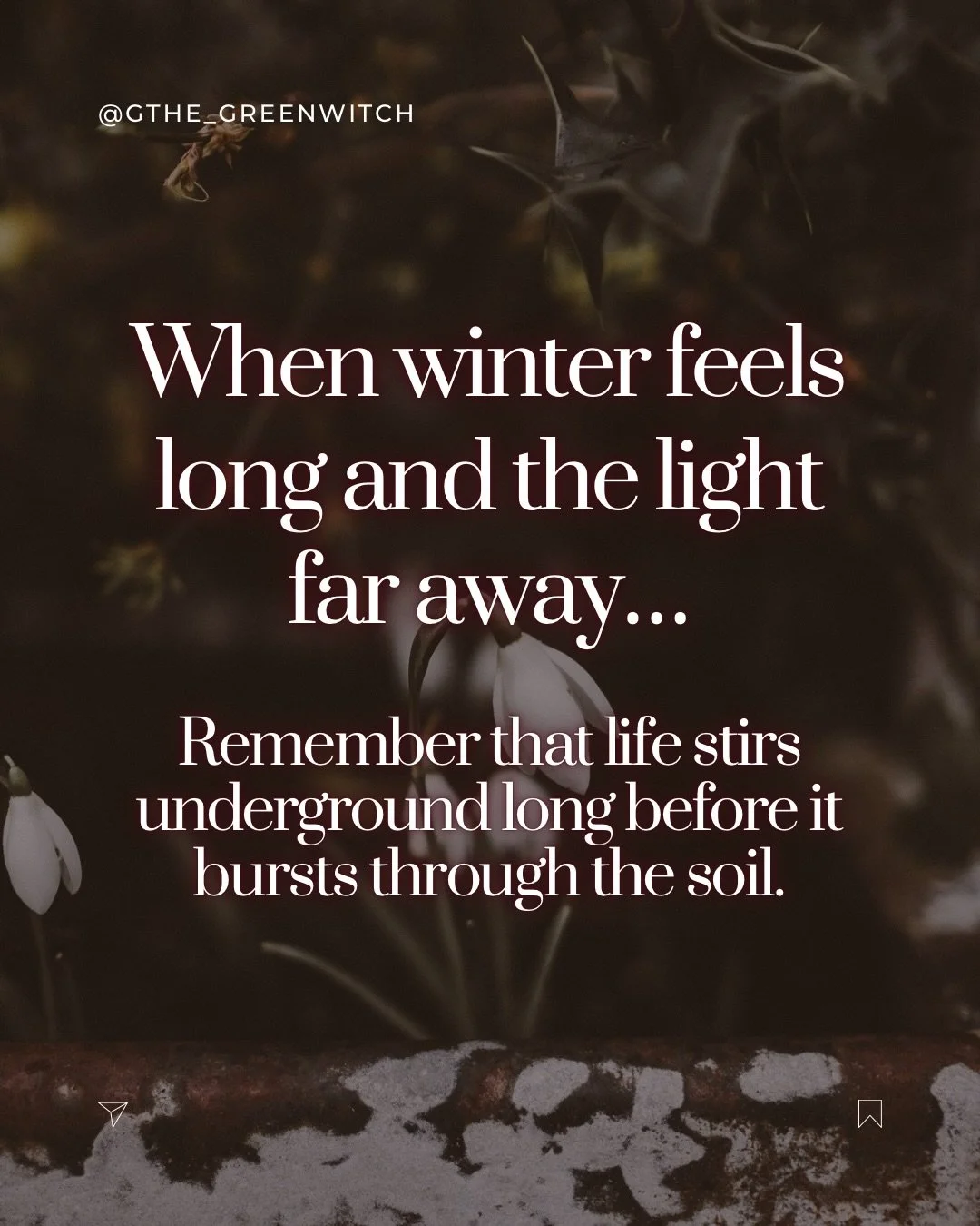 Winter has a way of convincing us that nothing is happening.

That because we can&rsquo;t see movement, there isn&rsquo;t any.

But the Earth never stops working. Roots are strengthening. Seeds are preparing. Light is lengthening &mdash; even now.

I