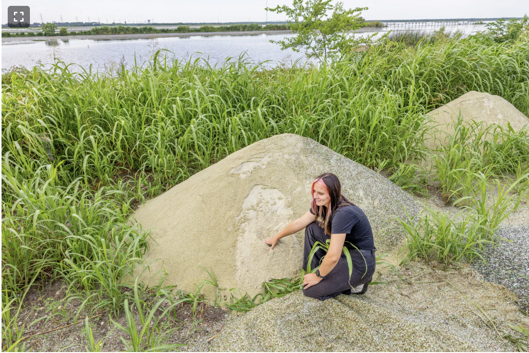 South Louisiana is doomed? Don't tell that to the startups trying to save it.