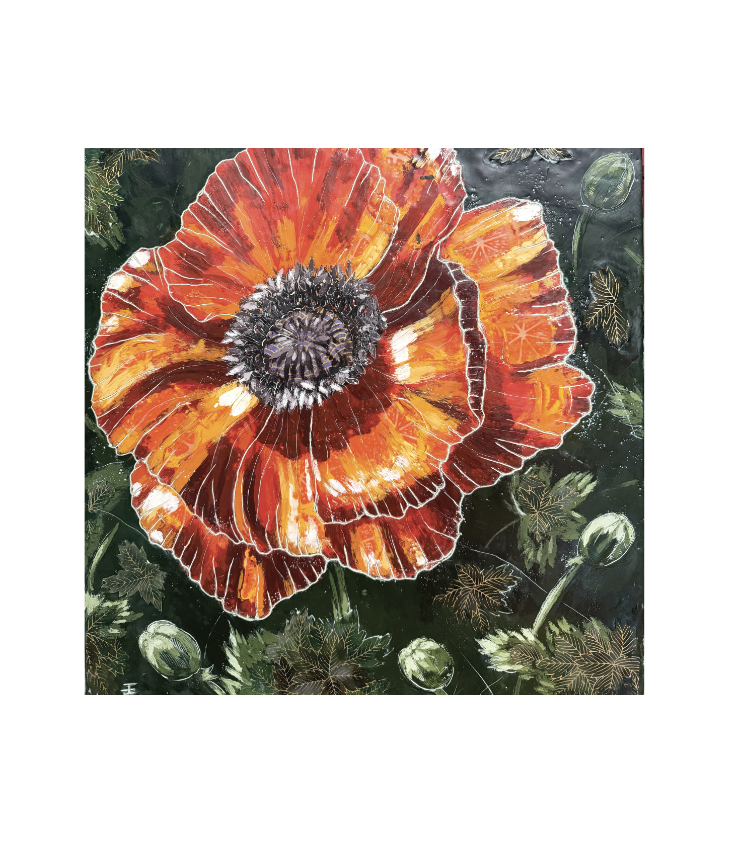 Red Poppy