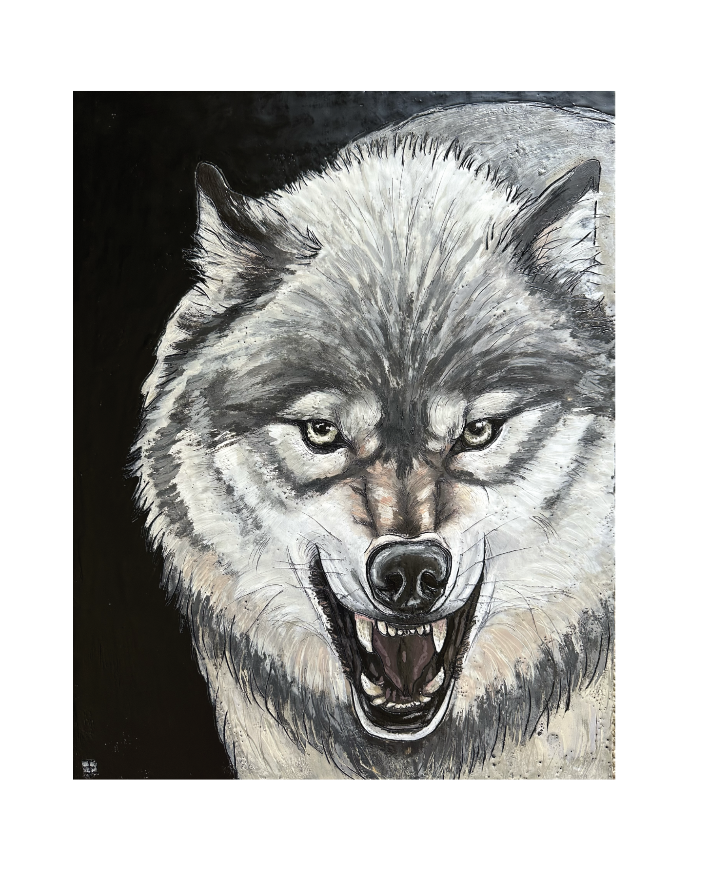 Grey Wolf