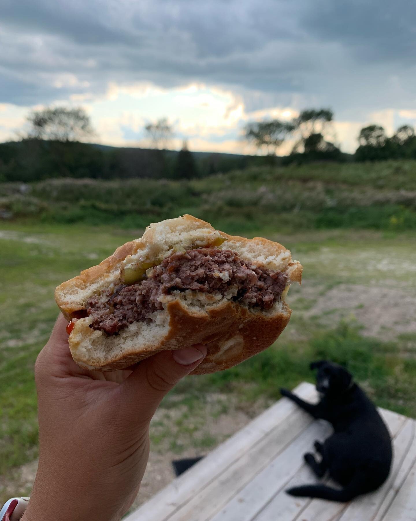 Nothing beats eating a local burger... Even better when you&rsquo;re eating it on the farm where the cow was born and raised! Our Scottish Highland beef is raised on our farm from day 1, and is 100% grass fed. We don&rsquo;t finish with grain! Help m