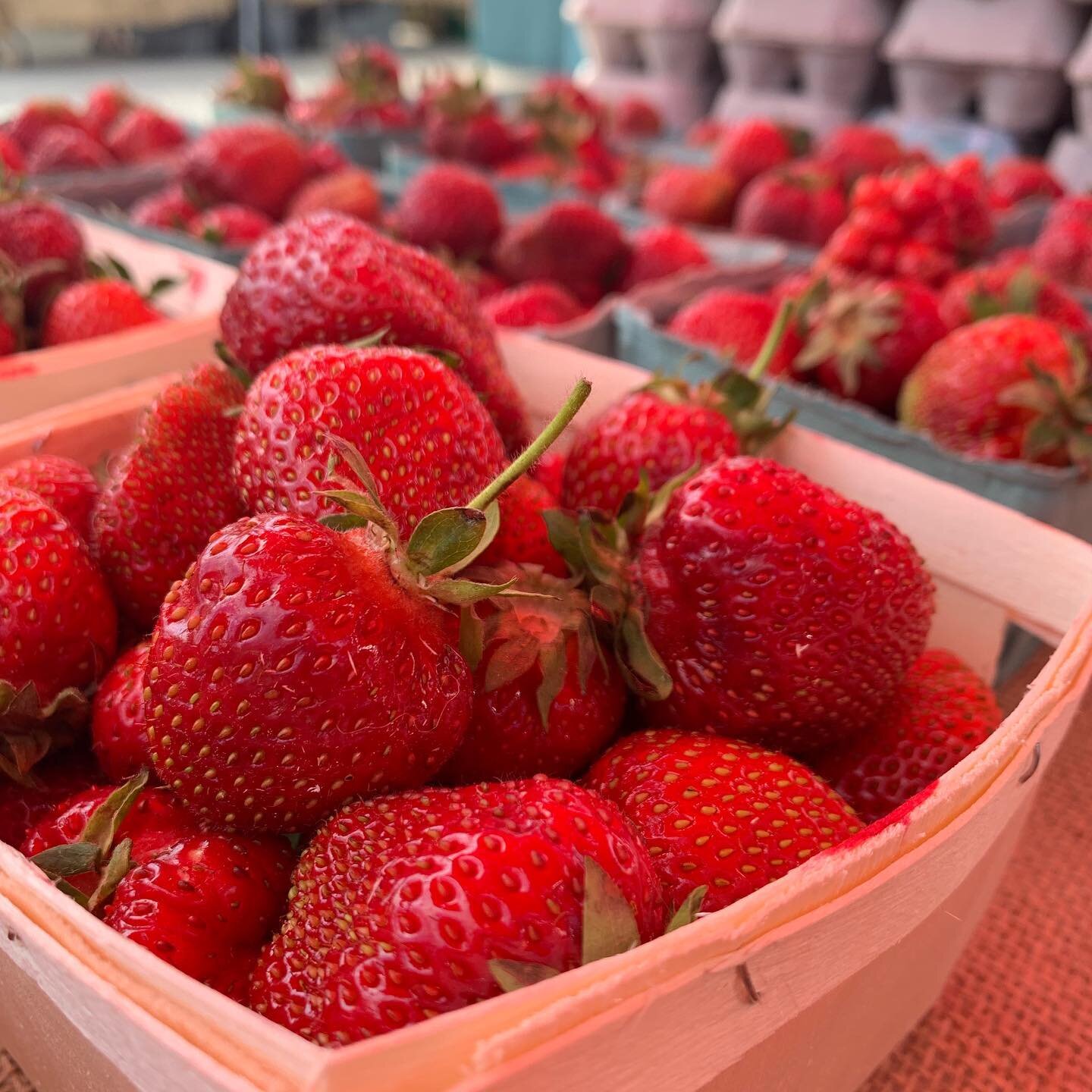 It&rsquo;s FINALLY that time of year again 🤩 Fresh Strawberries! Nothing beats going to the farmers market and having the smell of strawberries floating through the air 🍓 Today we are at the #ScarboroughMaine Farmers Market with these sweet treats 