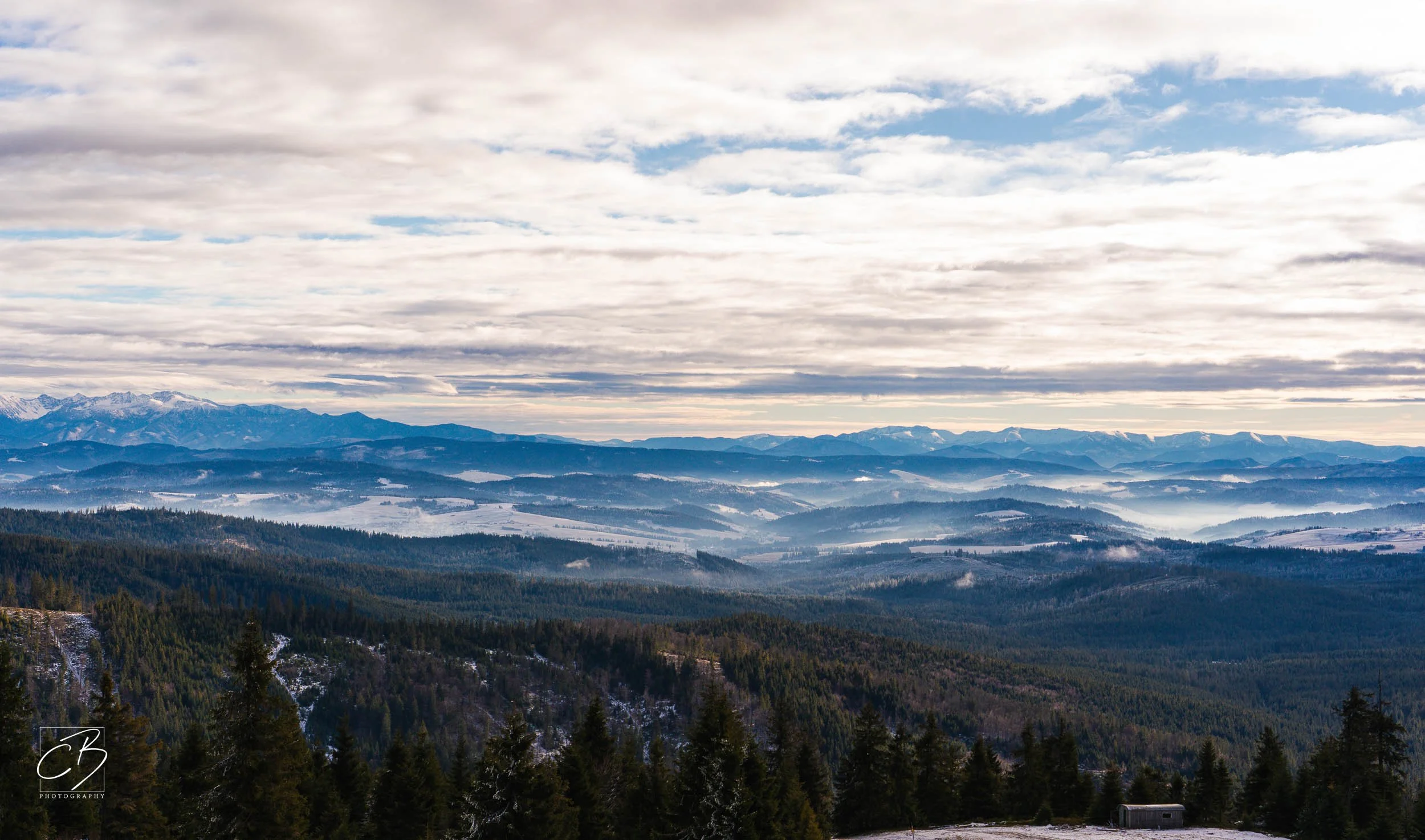 _DSC2620-Website Export.jpg