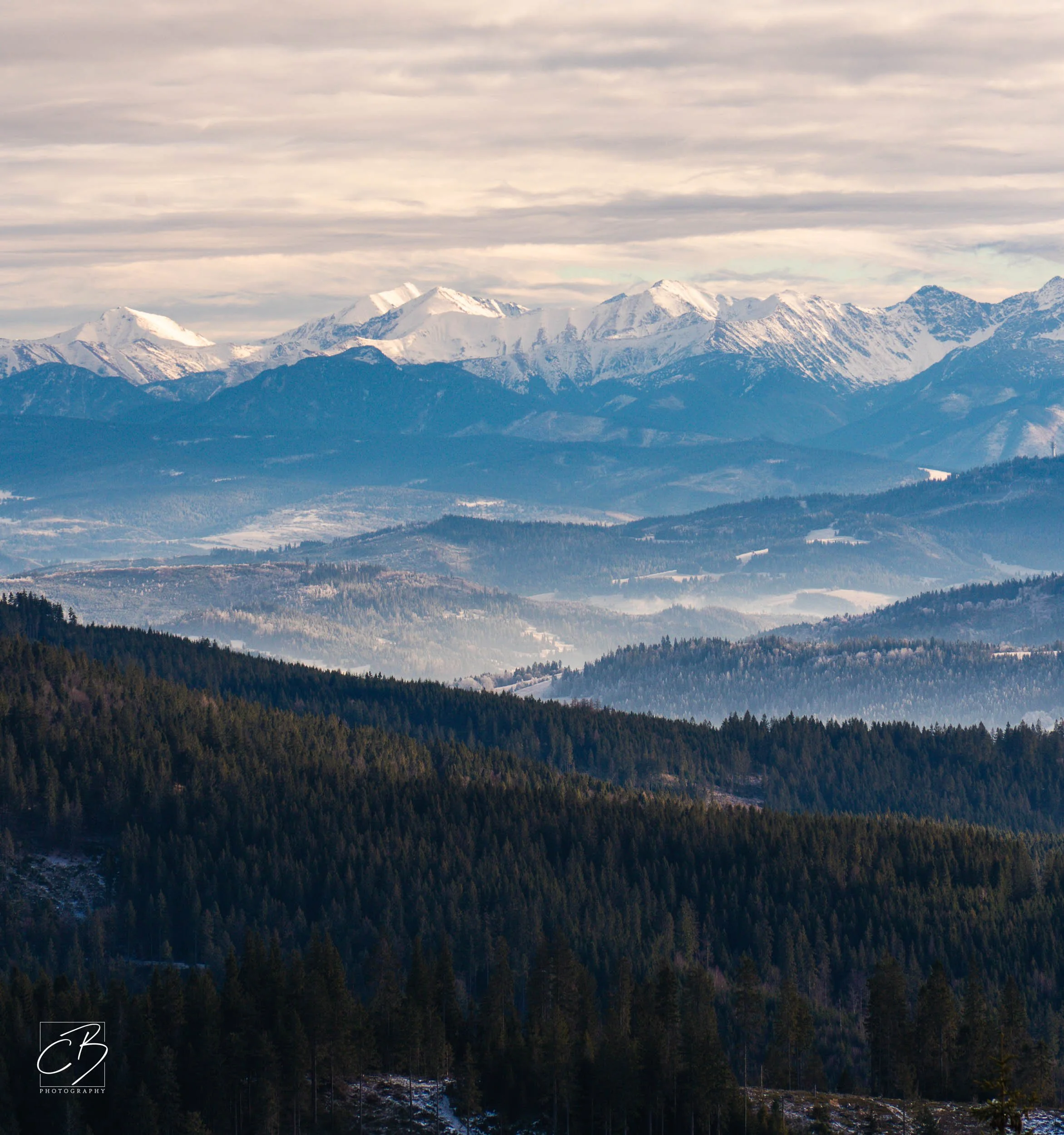 _DSC2638-Website Export.jpg