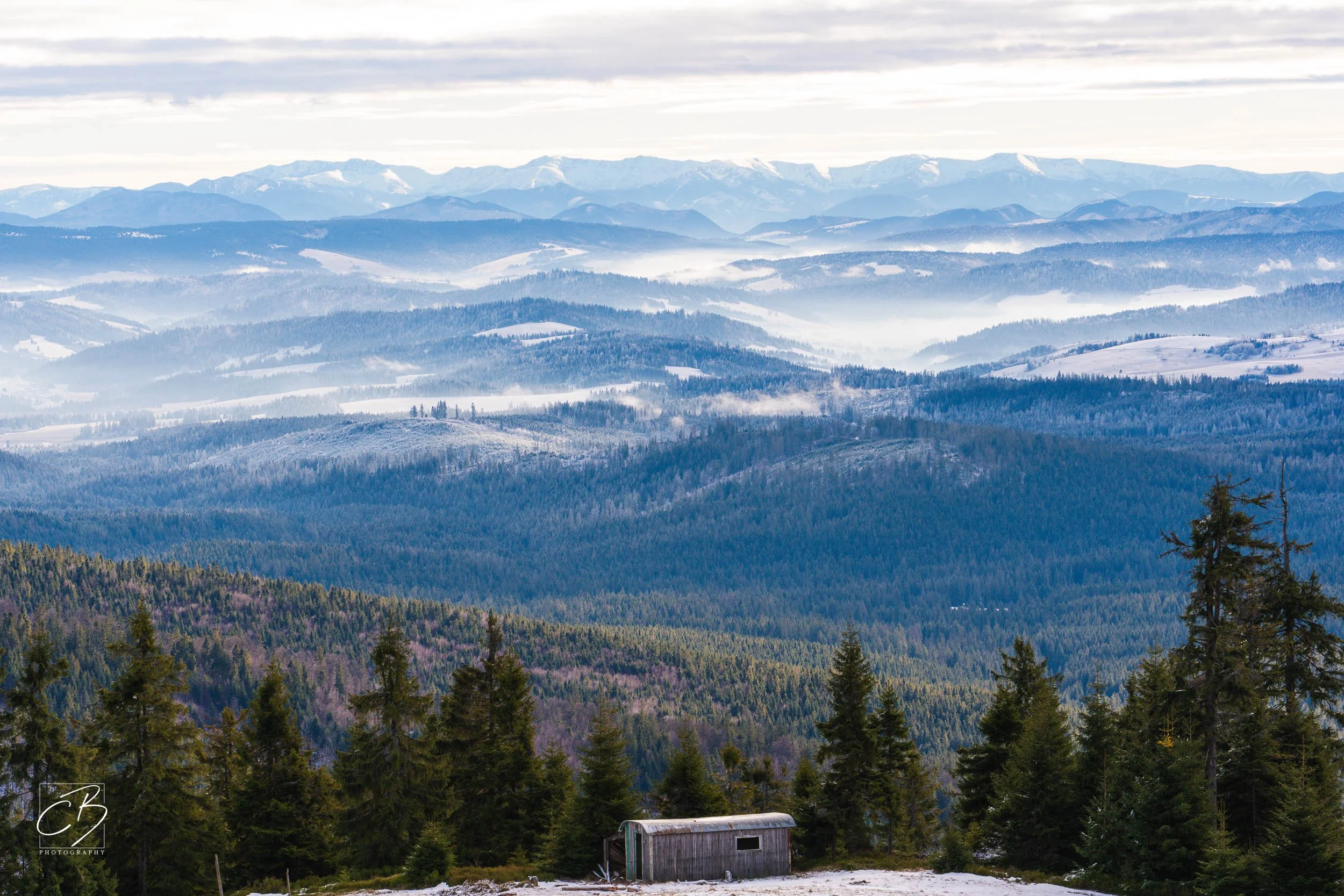 _DSC2611-Website Export.jpg