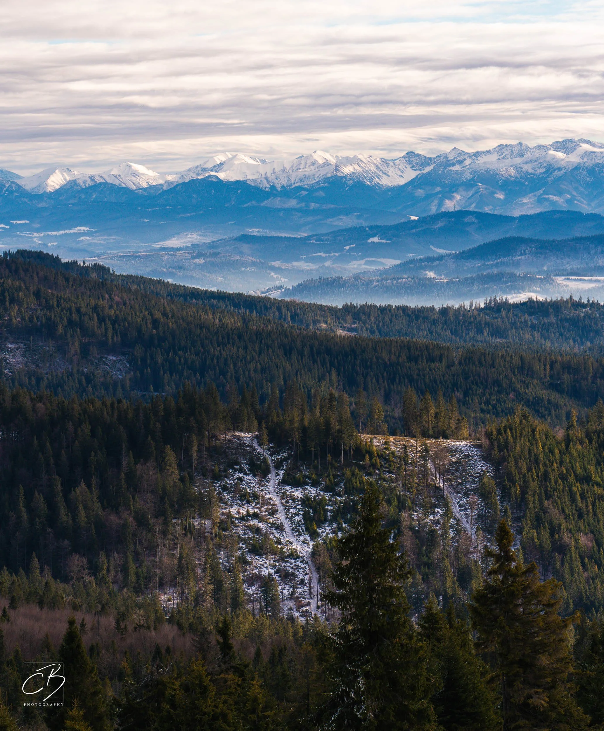 _DSC2624-Website Export.jpg