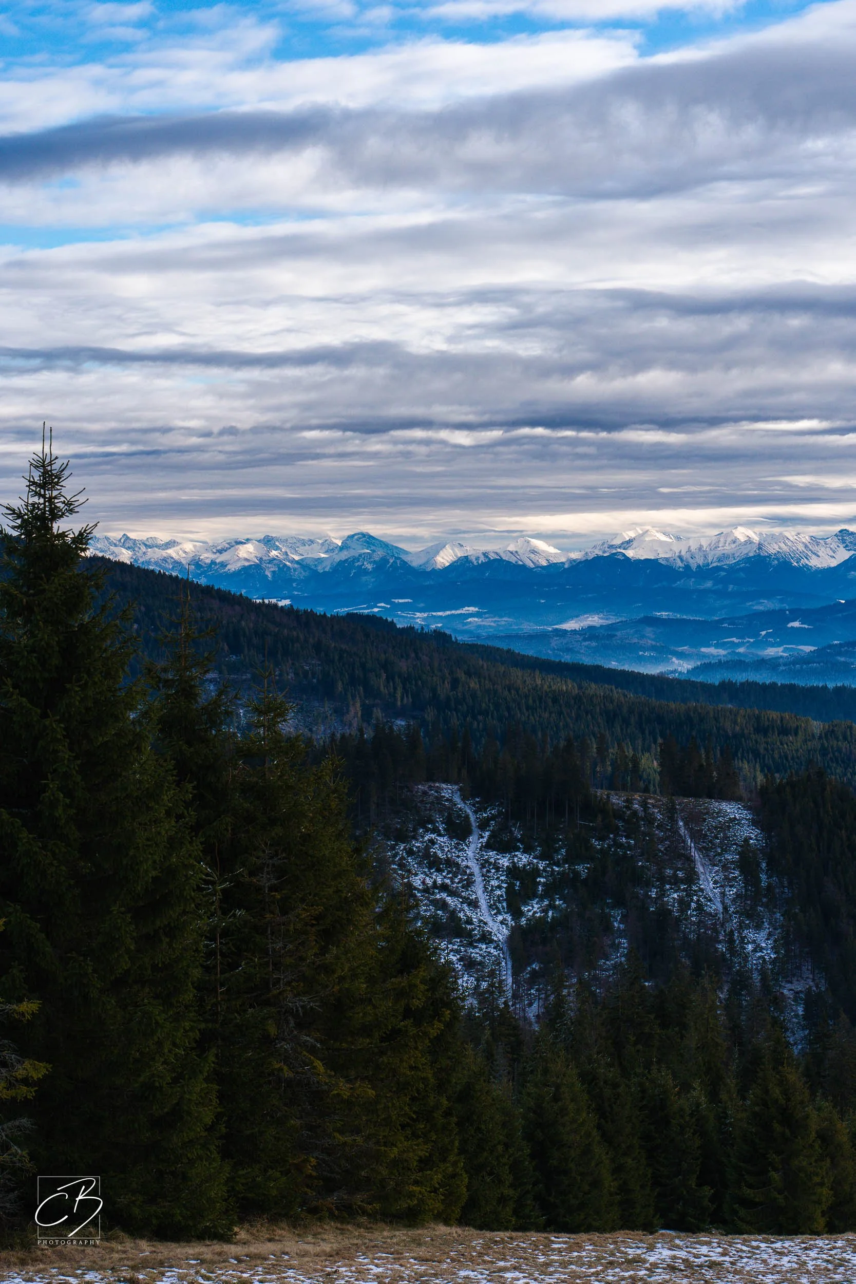 _DSC2606-Website Export.jpg