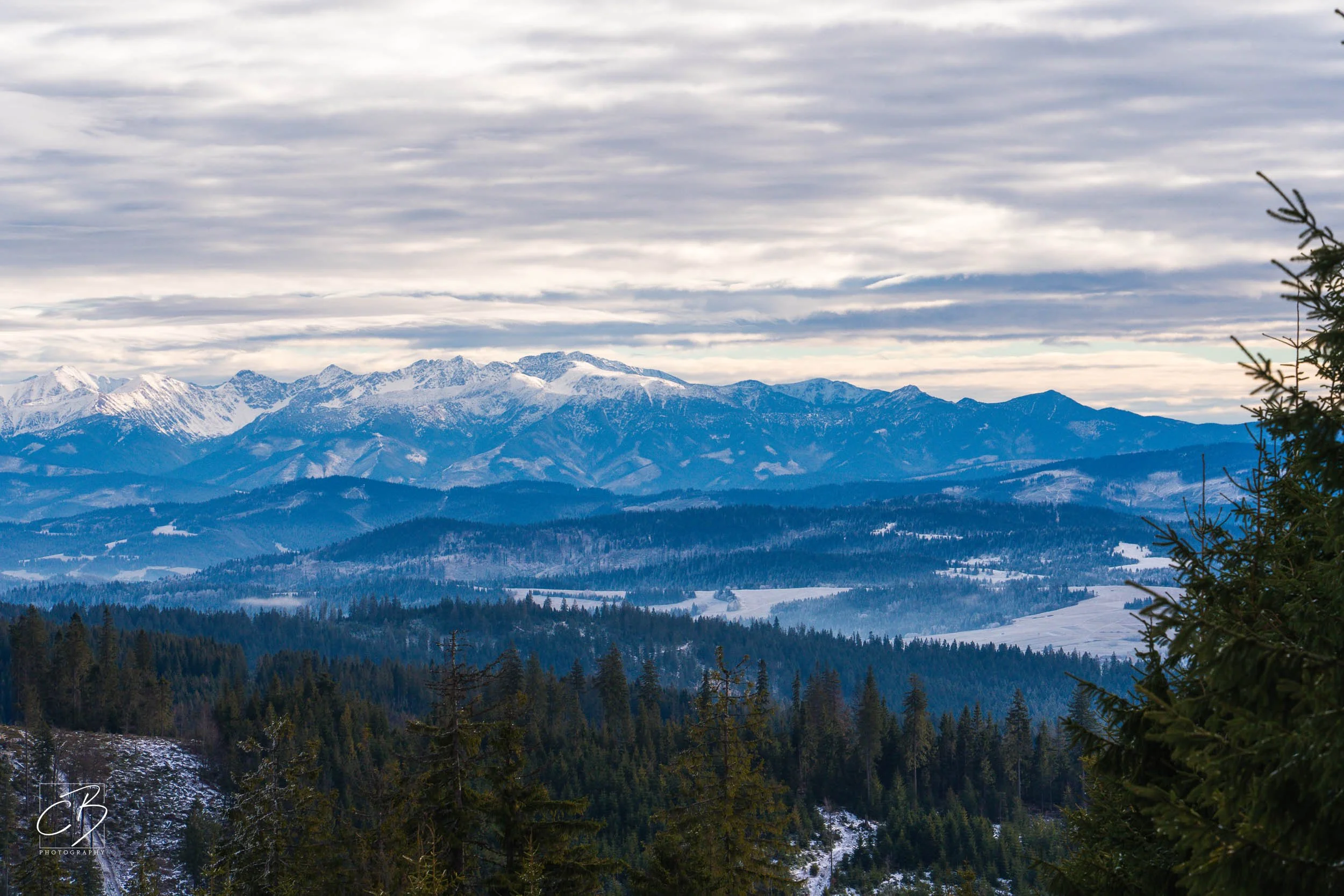 _DSC2589-Website Export.jpg