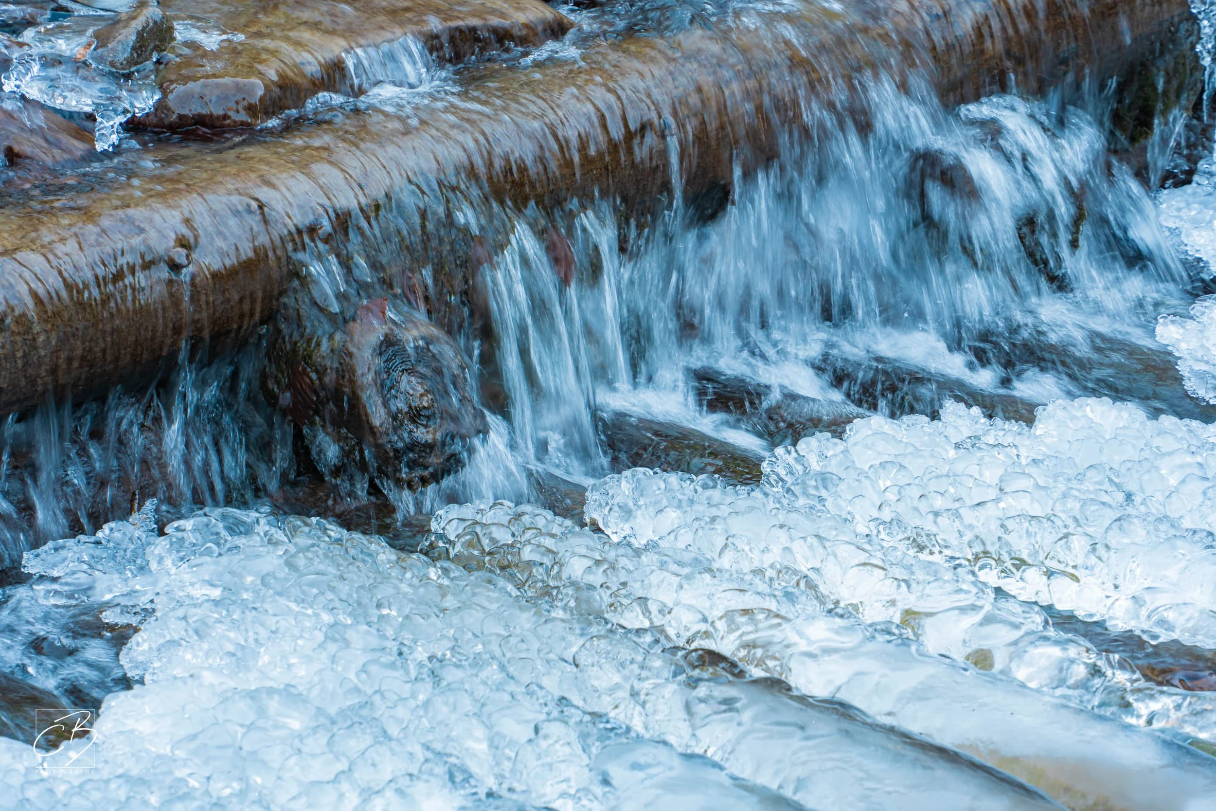 _DSC2577-Website Export.jpg