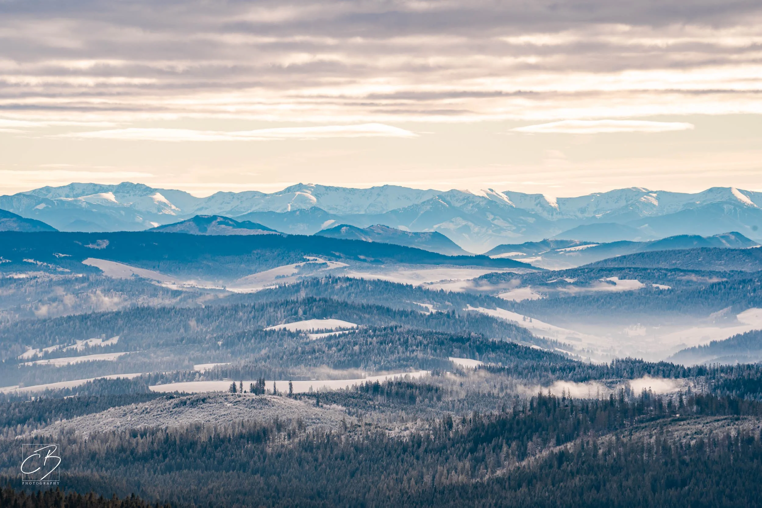 _DSC2592-Website Export.jpg