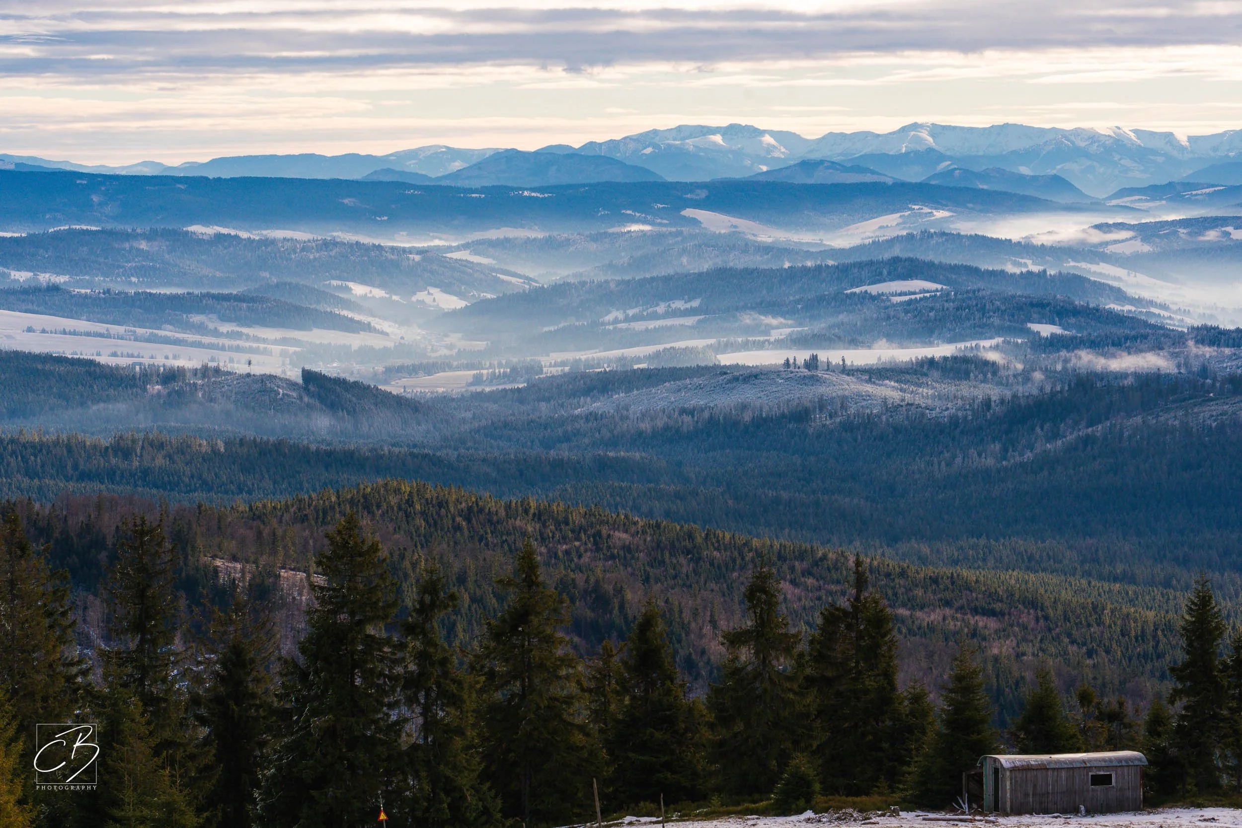 _DSC2613-Website Export.jpg