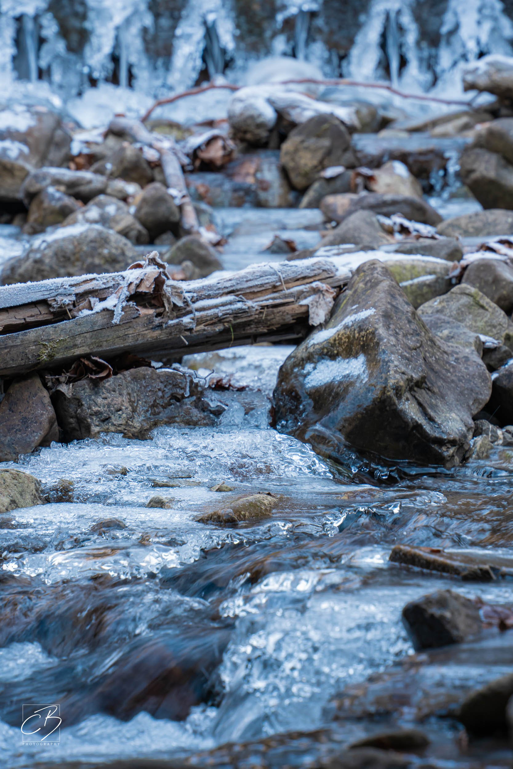 _DSC2575-Website Export.jpg