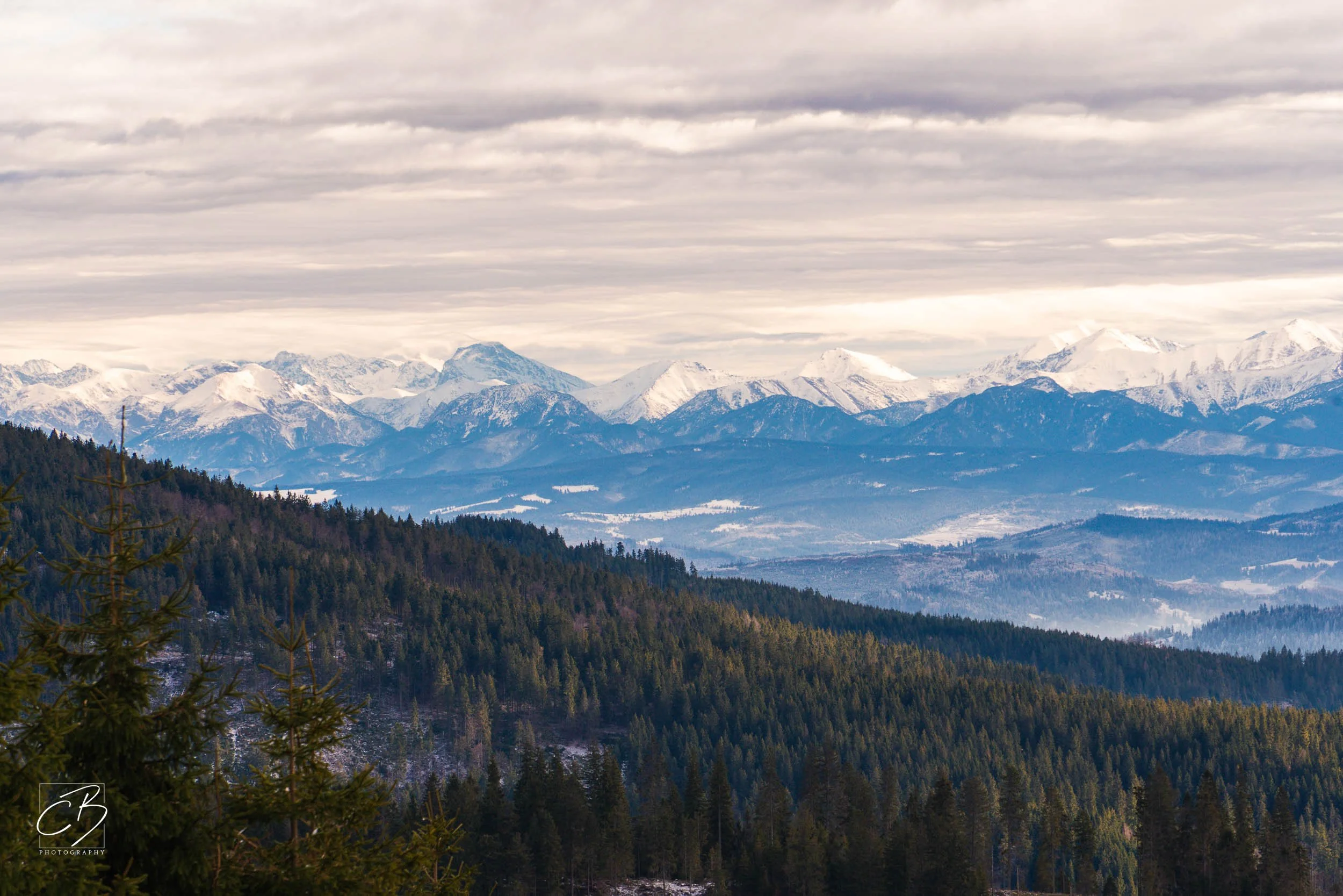 _DSC2604-Website Export.jpg