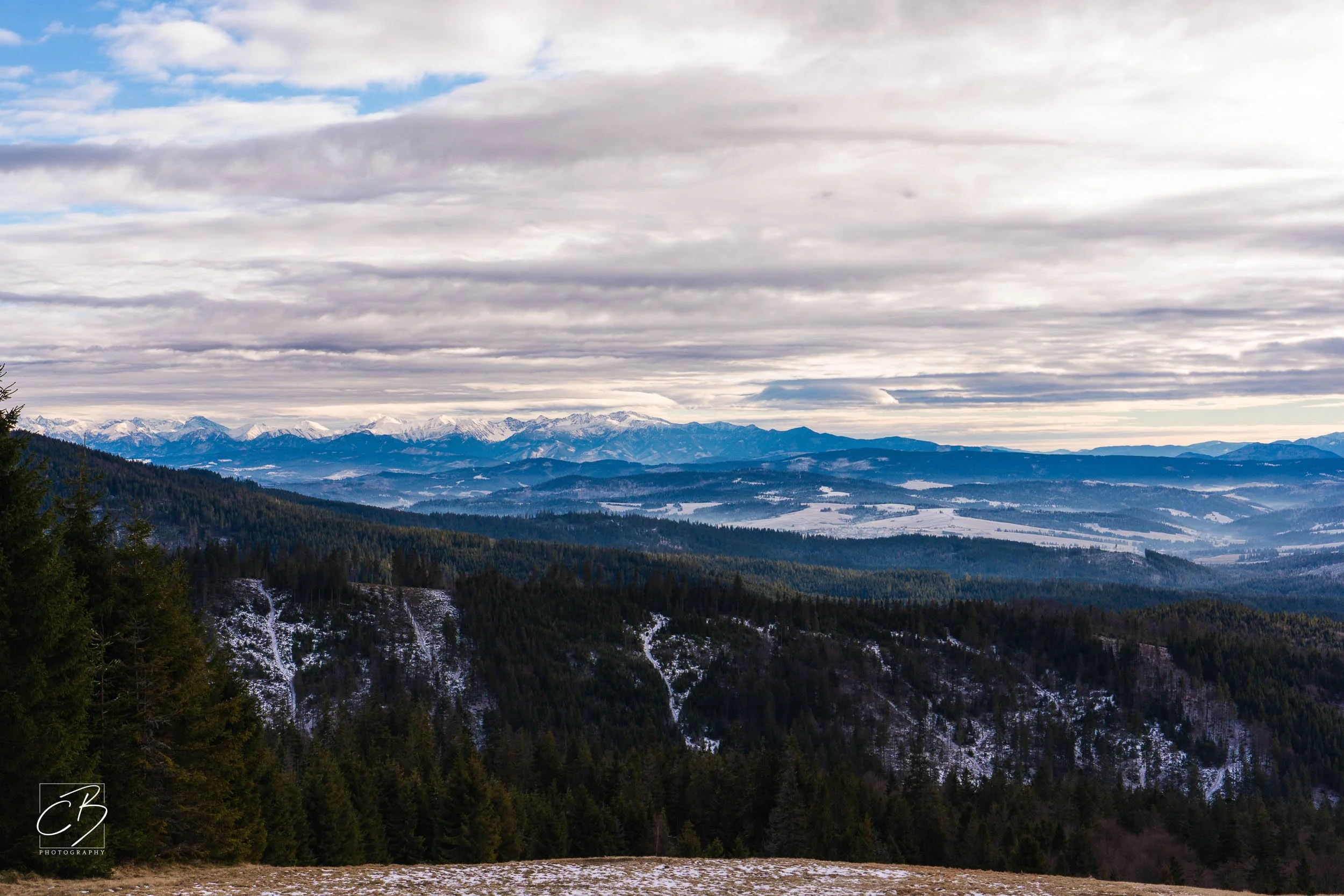 _DSC2602-Website Export.jpg