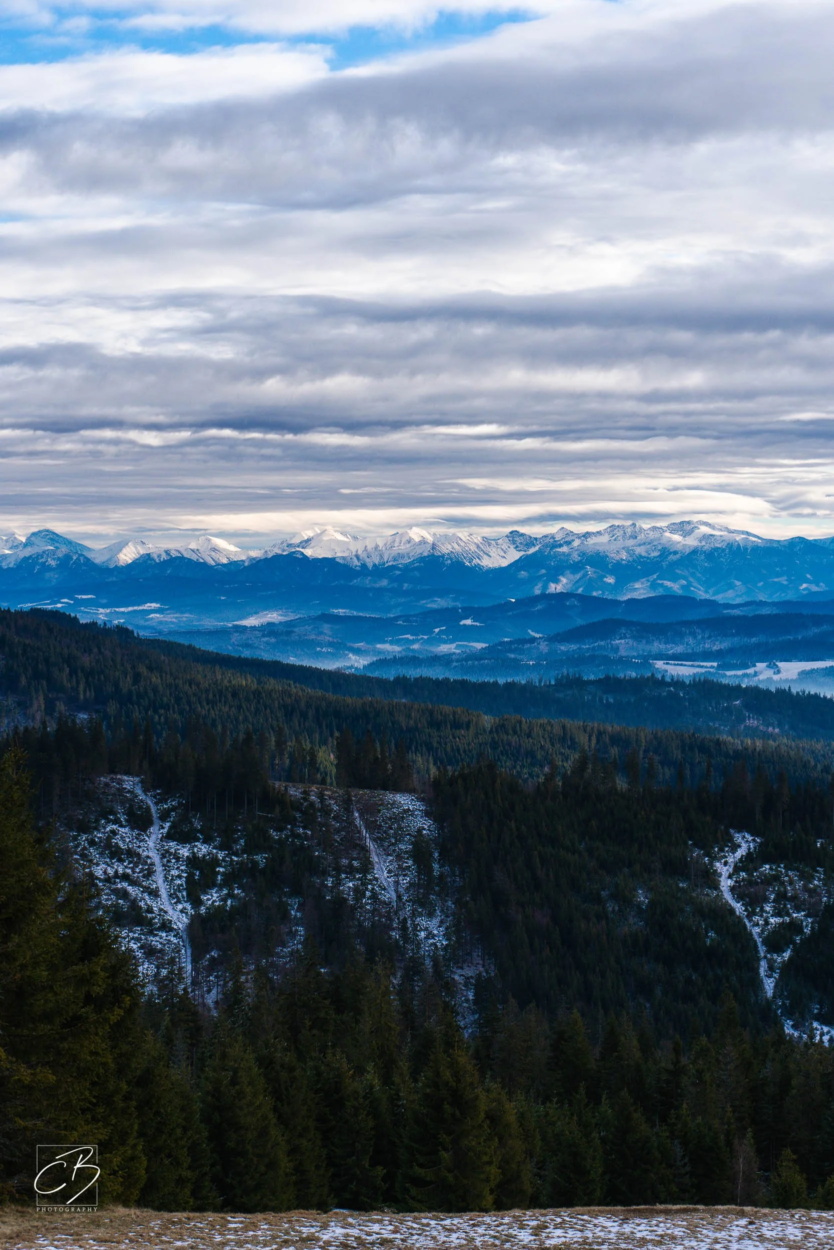 _DSC2609-Website Export.jpg