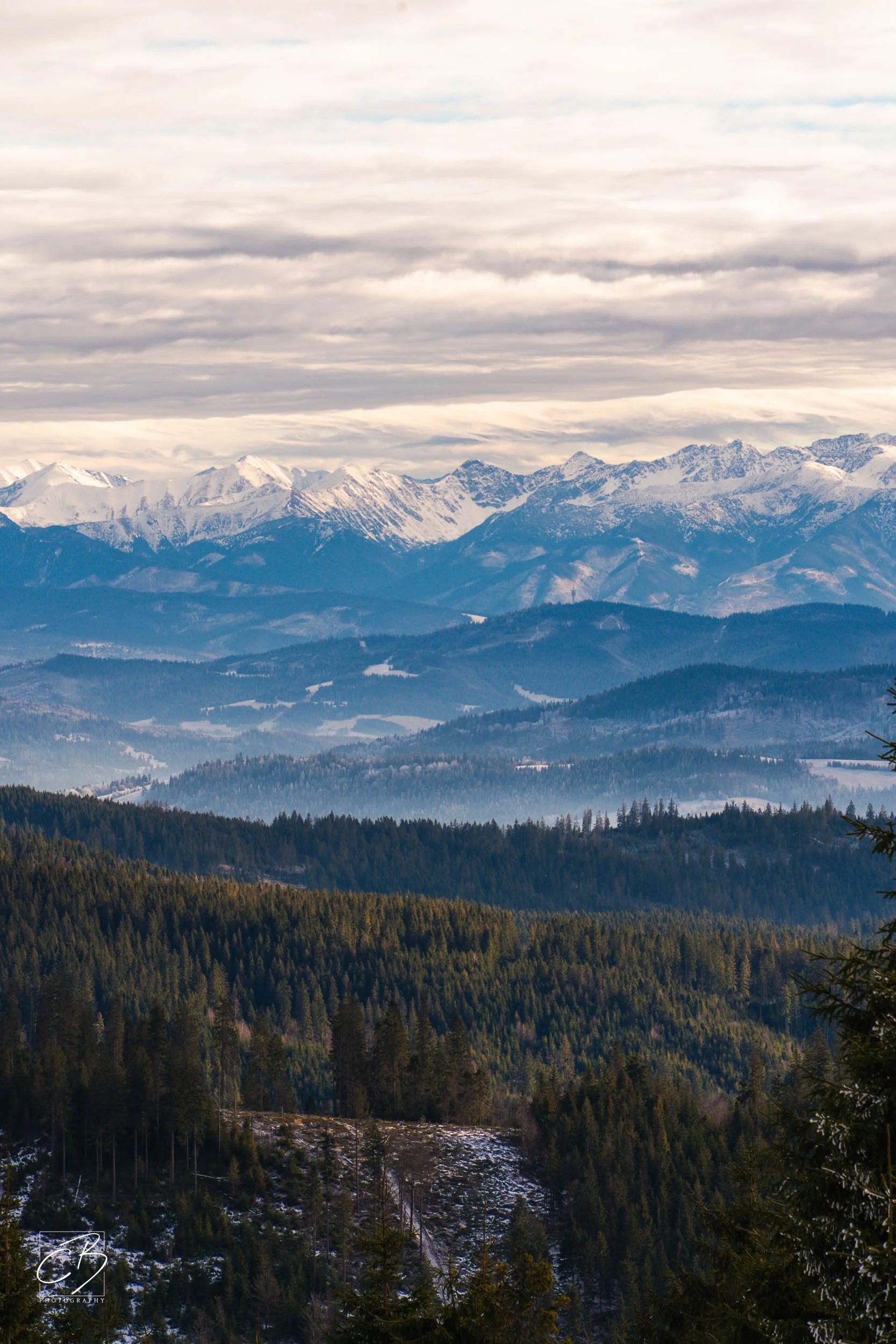 _DSC2616-Website Export.jpg