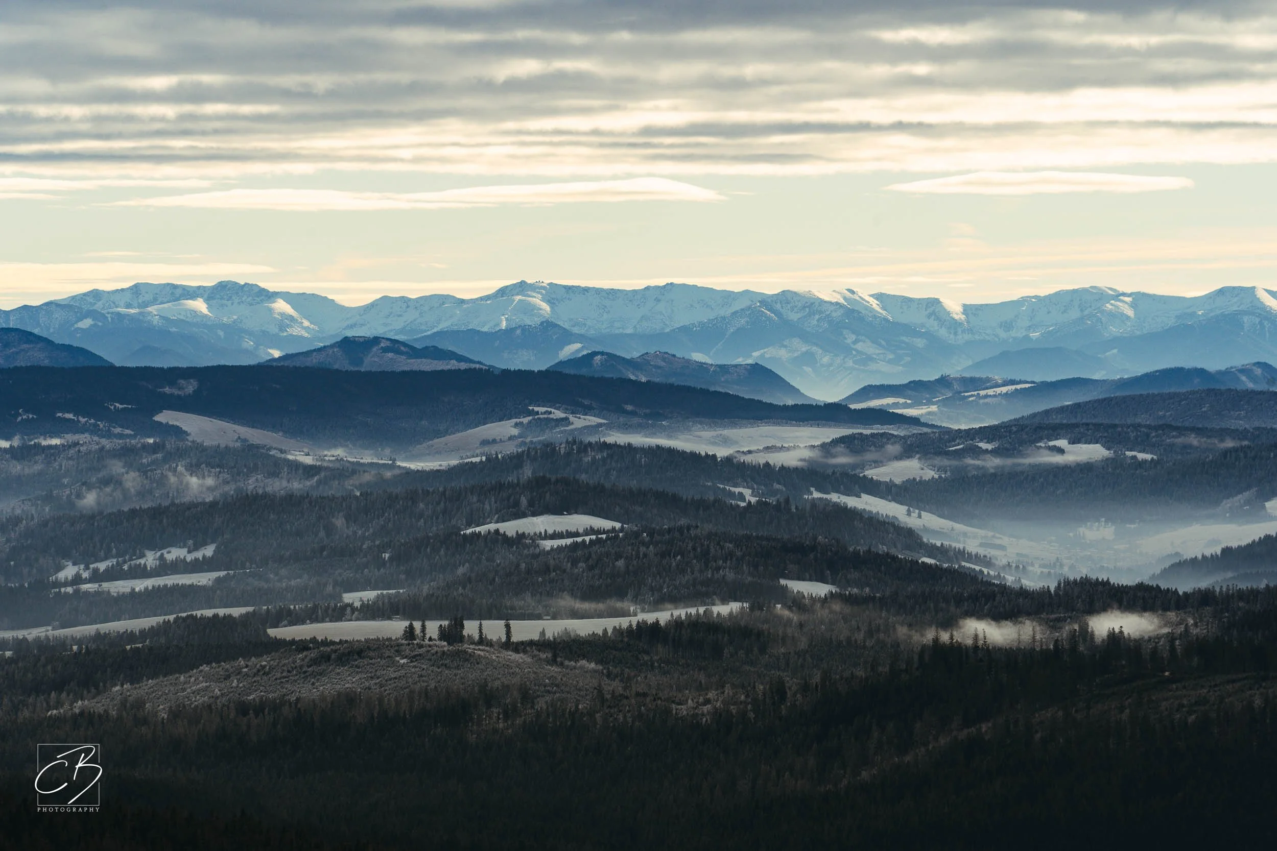 _DSC2593-Website Export.jpg