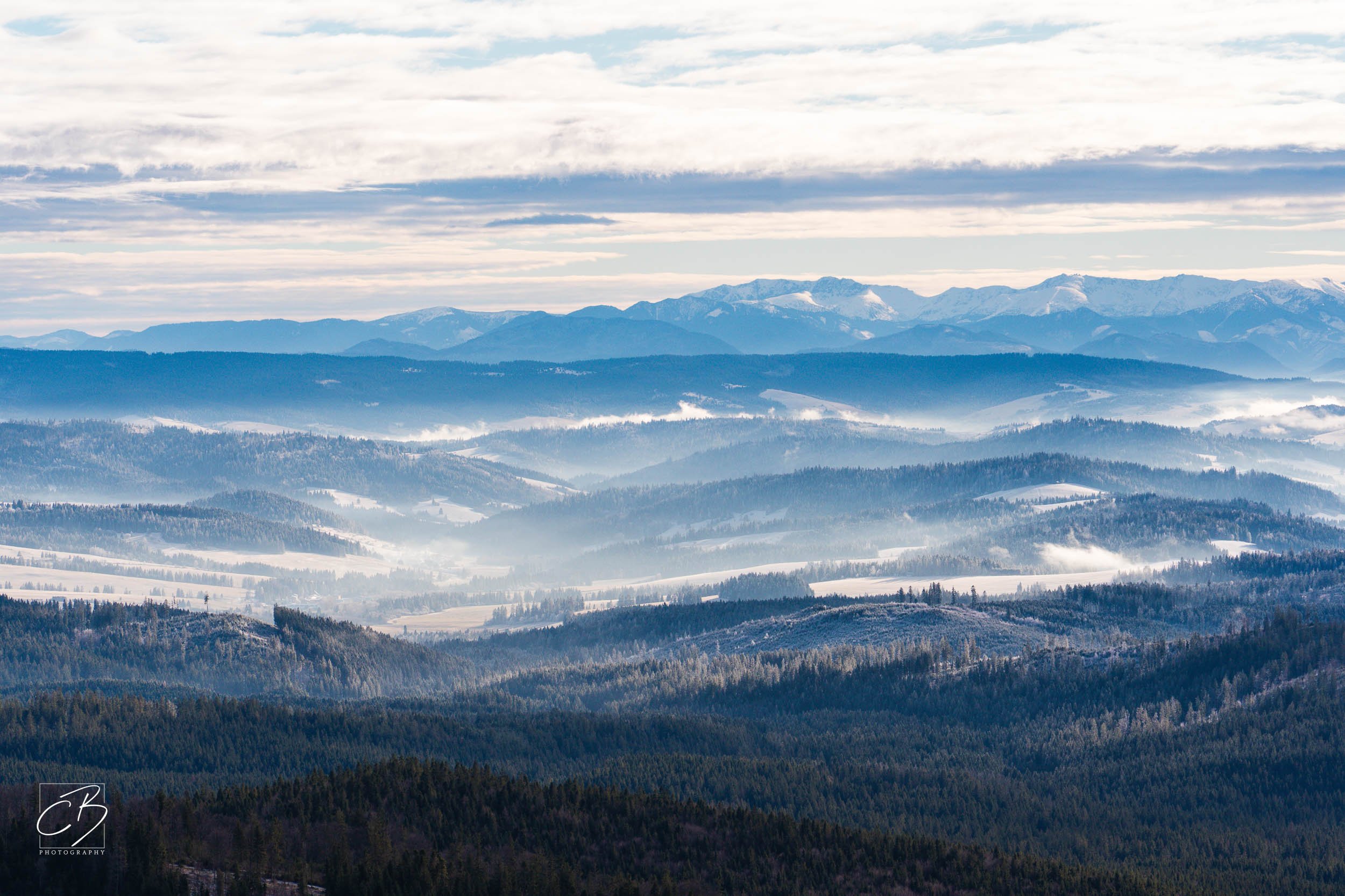 _DSC2630-Website Export.jpg