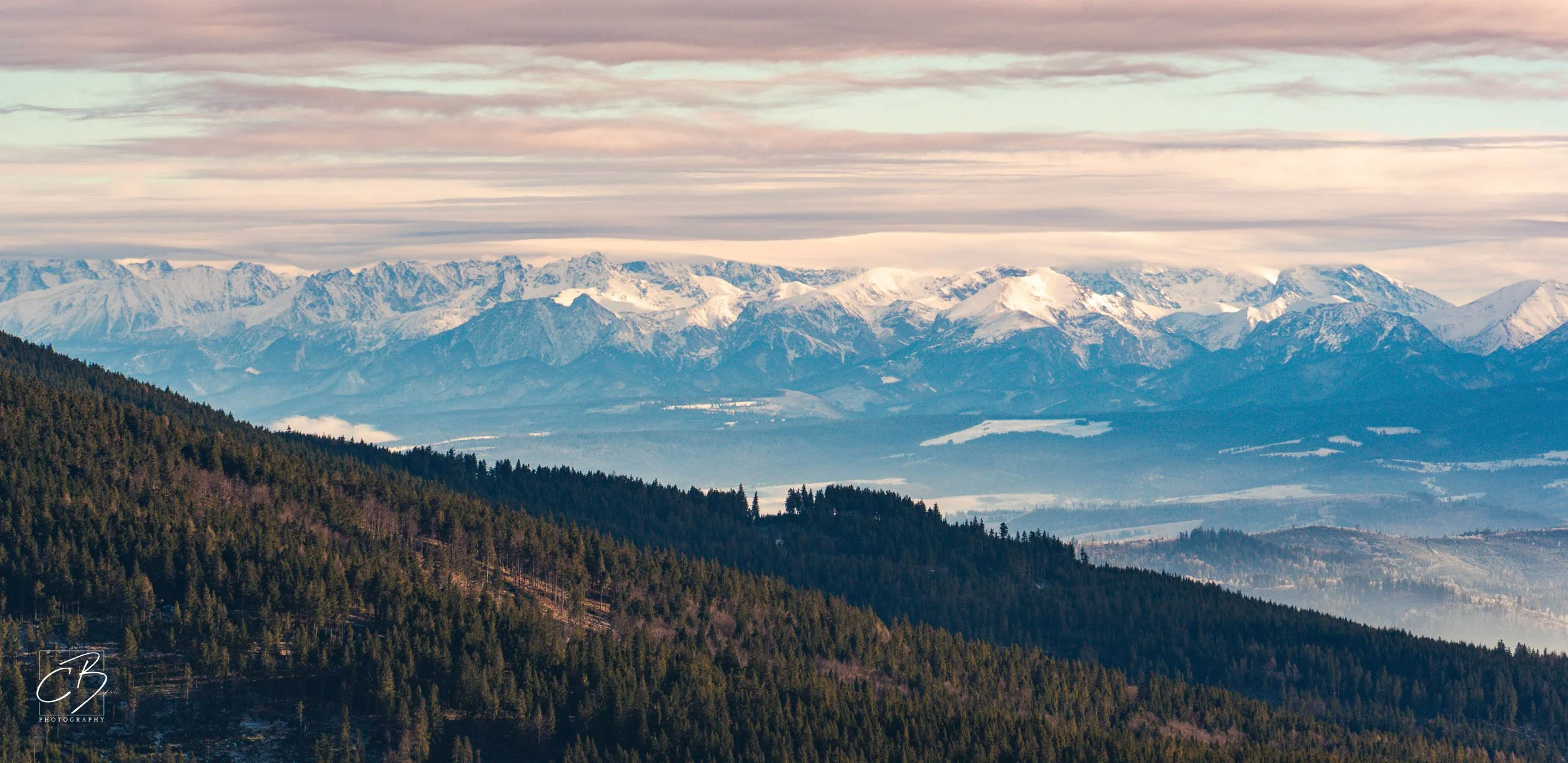 _DSC2642-Website Export.jpg